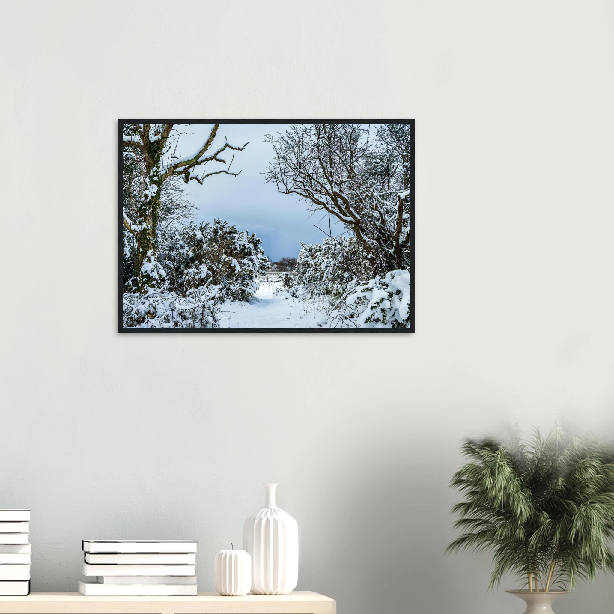 Frostbitten Wilderness - Black or White Framed Photograph