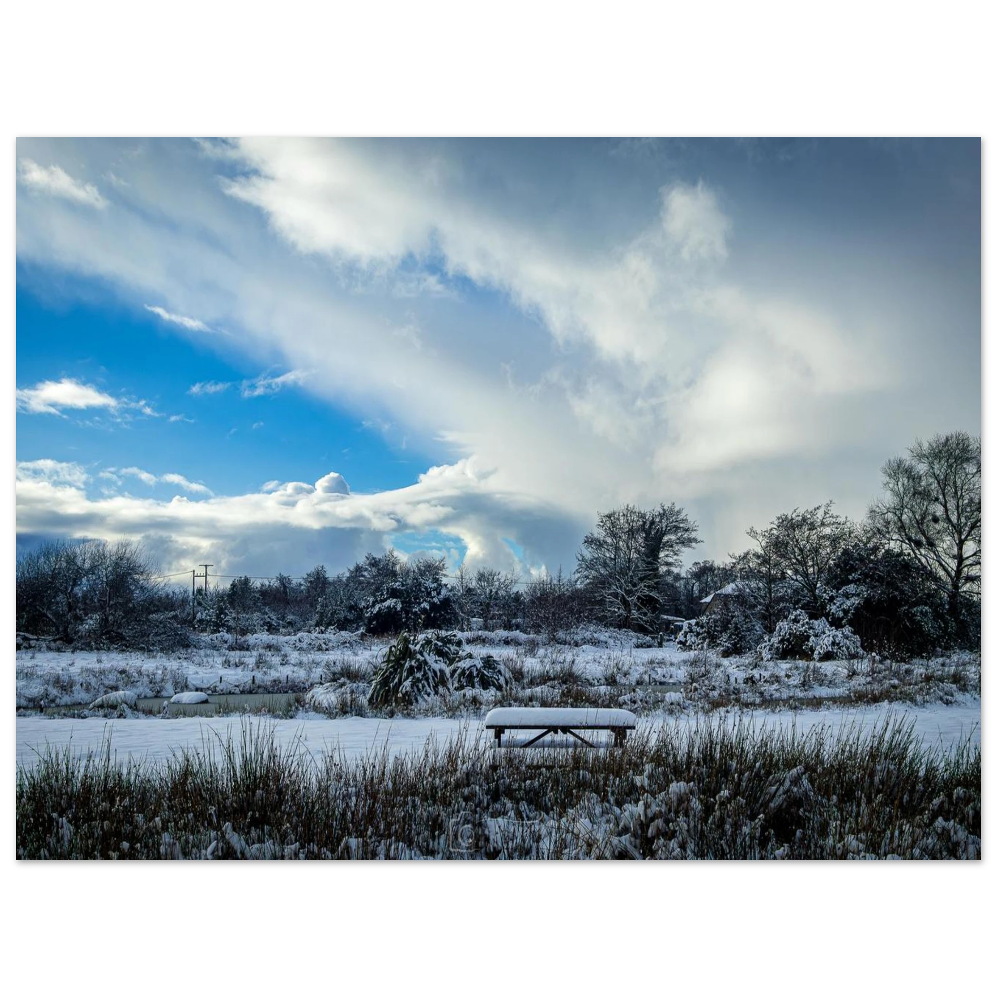 Lakeside Views - Fine Art Poster