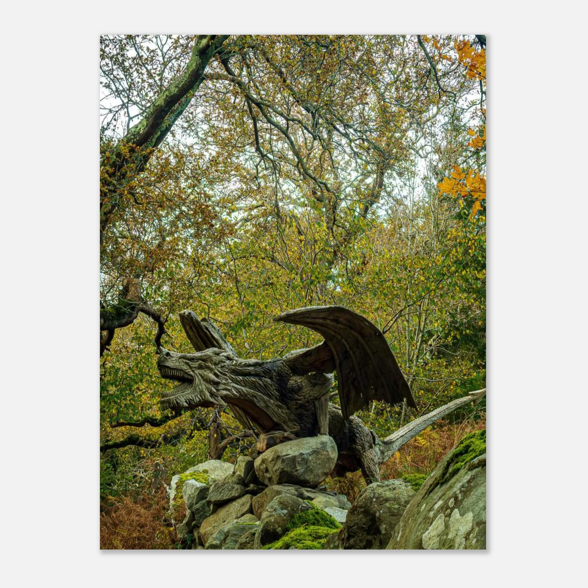 The Rise Of Dragon of Bethesda - Fine Art Poster