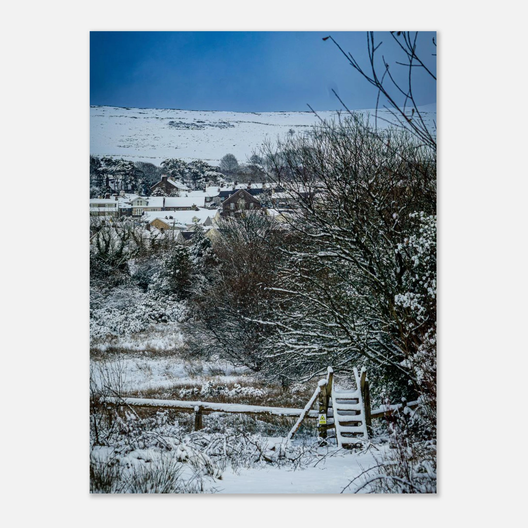 Path To Nowhere - Fine Art Poster