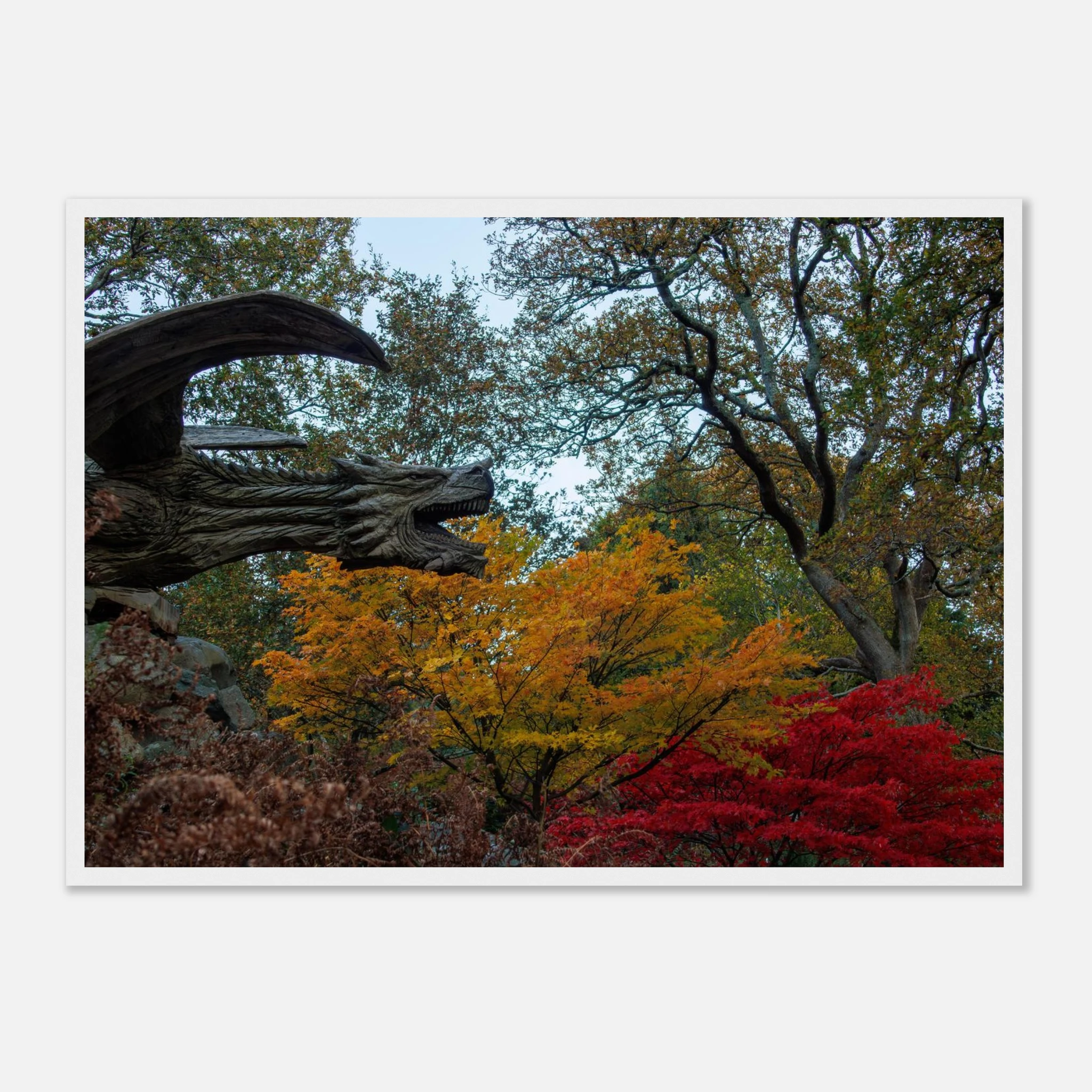 Dragon’s Breath - Black or White Framed Photograph