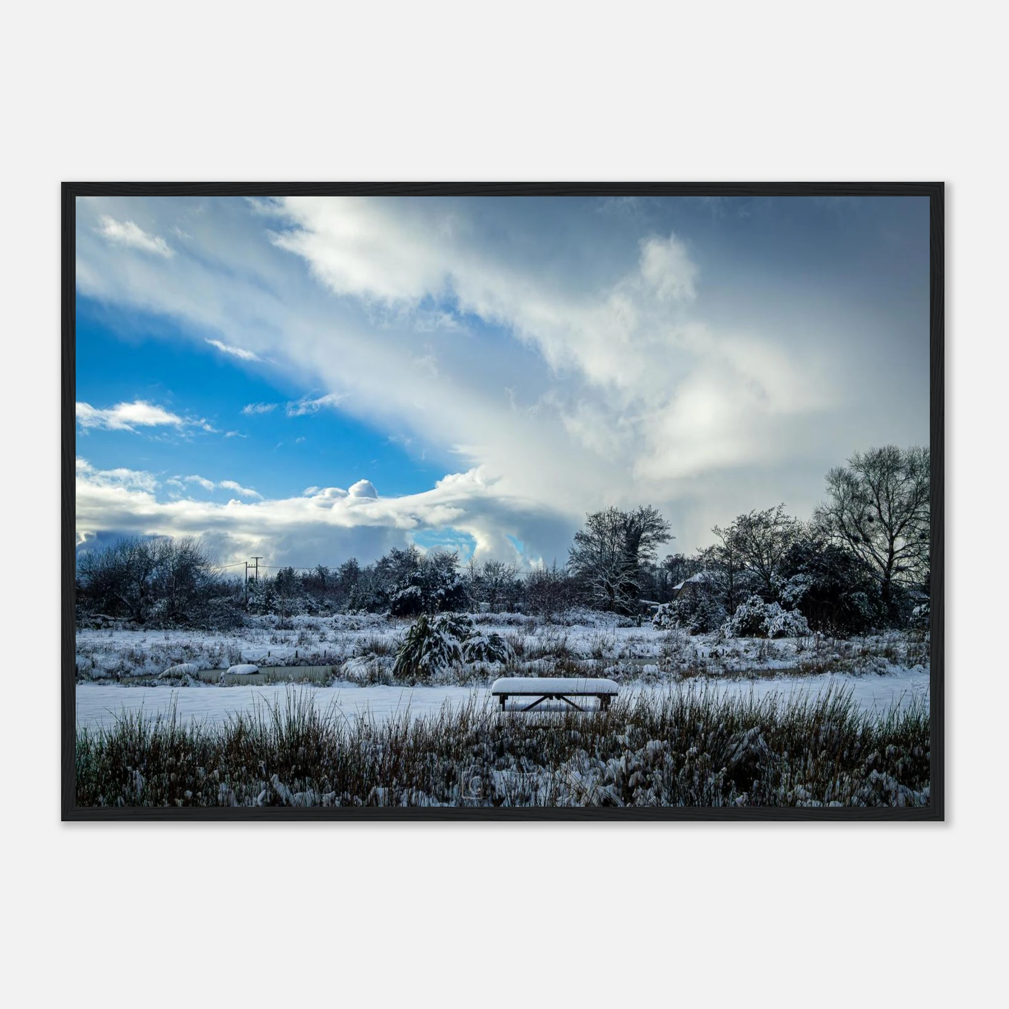 Lakeside View - Black or White Framed Photoograph