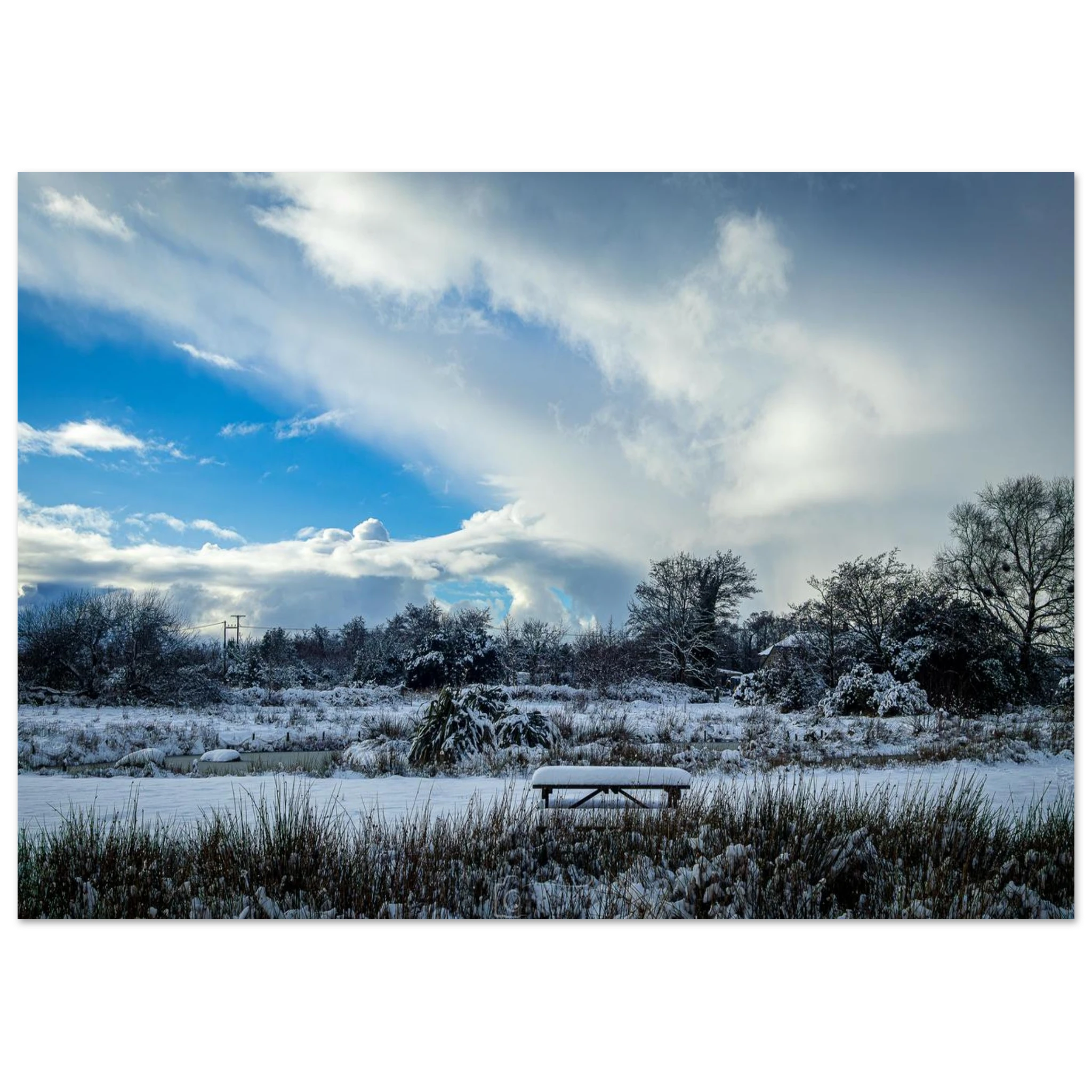 Lakeside Views - Fine Art Poster