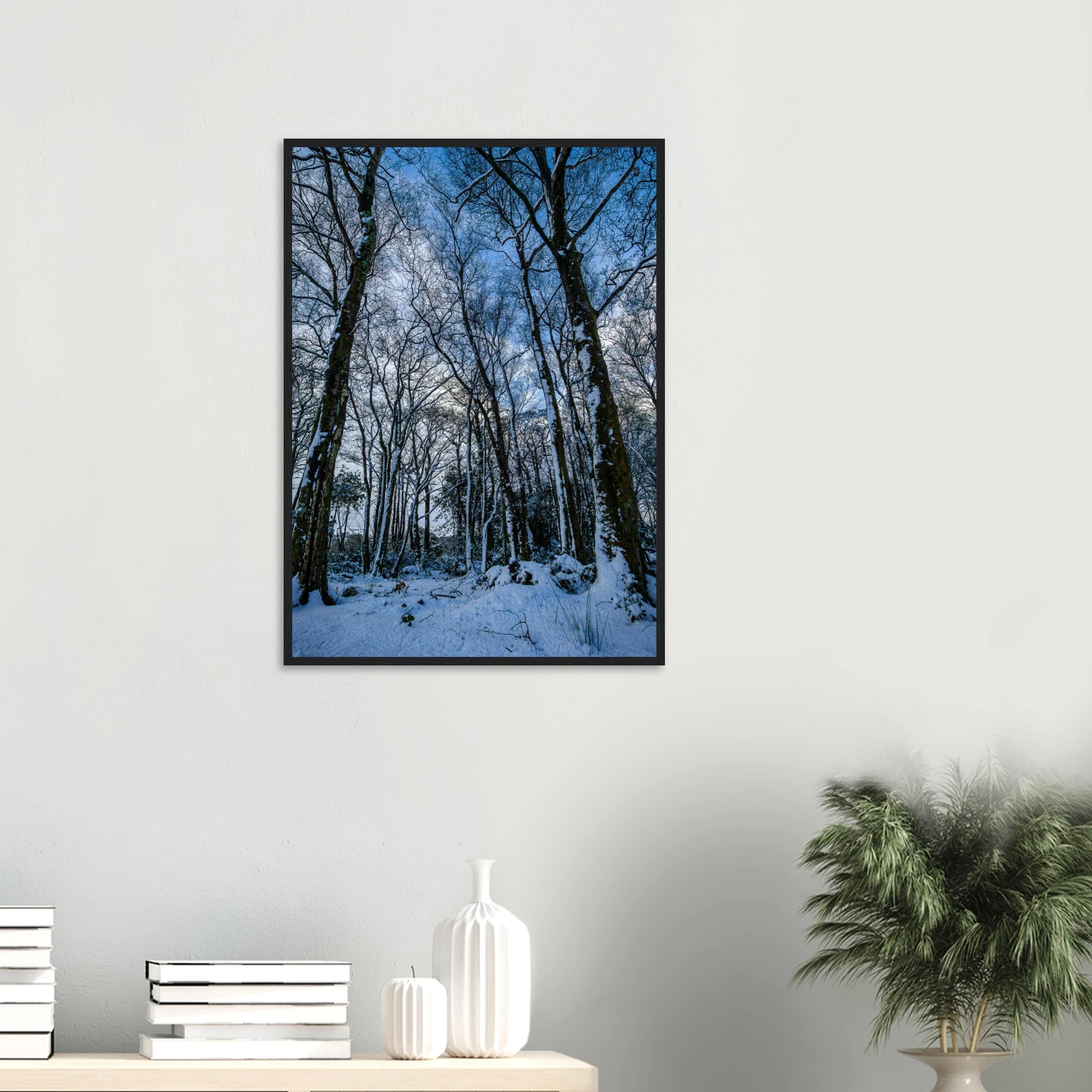 Entrance To Narnia - Black or White Framed Photograph