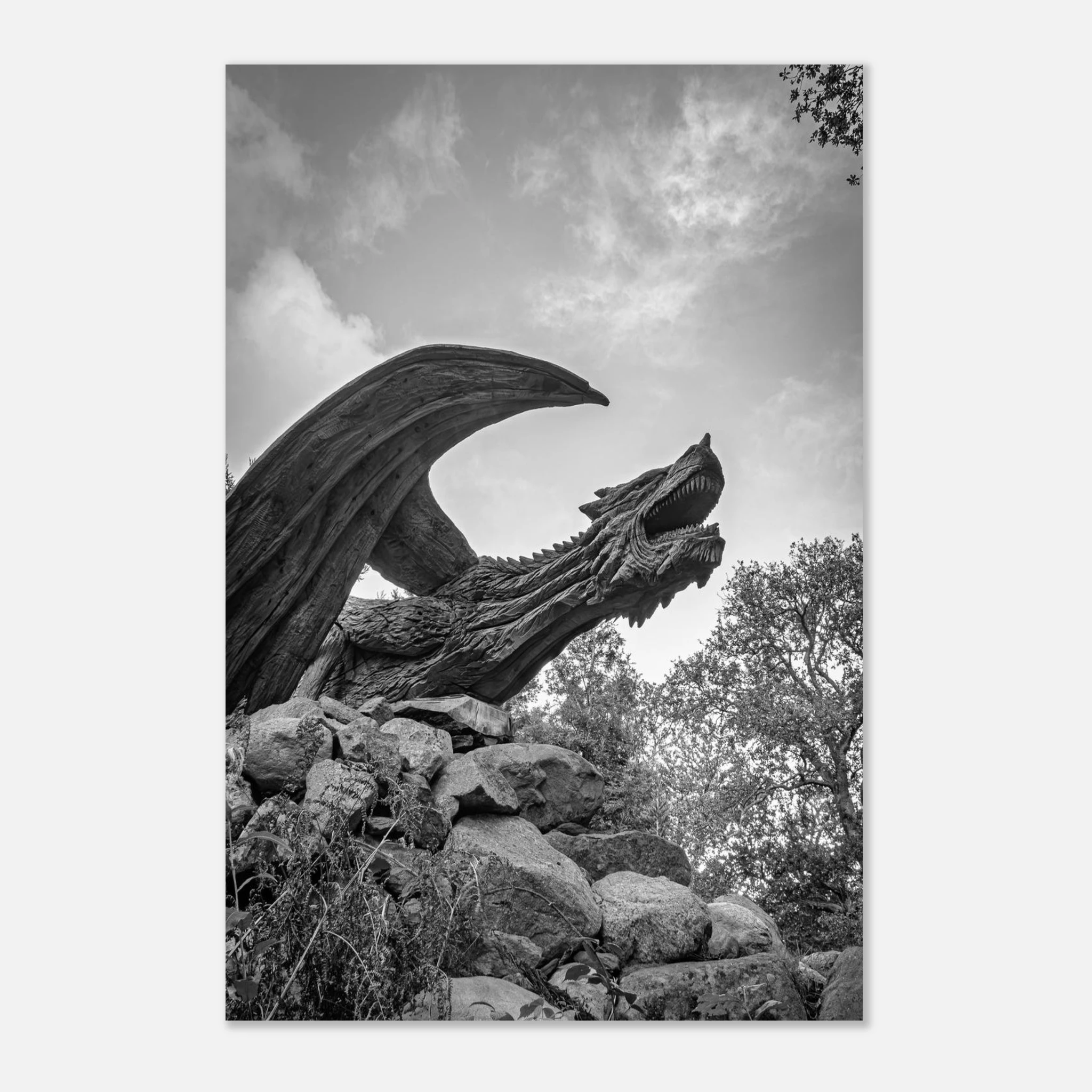 True Power Of The Dragon of Bethesda - Fine Art Poster