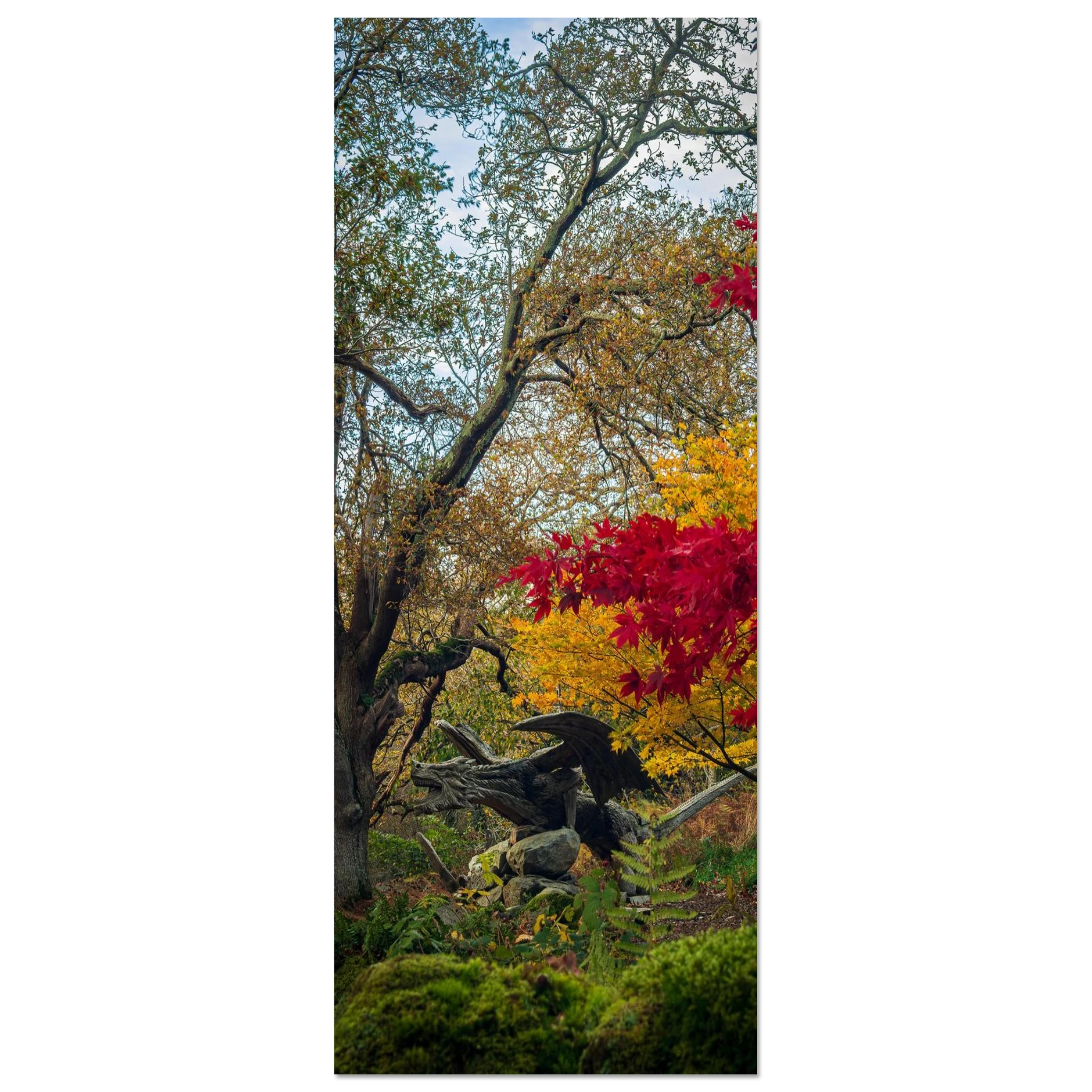 Autumnal Bethesda Dragon - Fine Art Poster