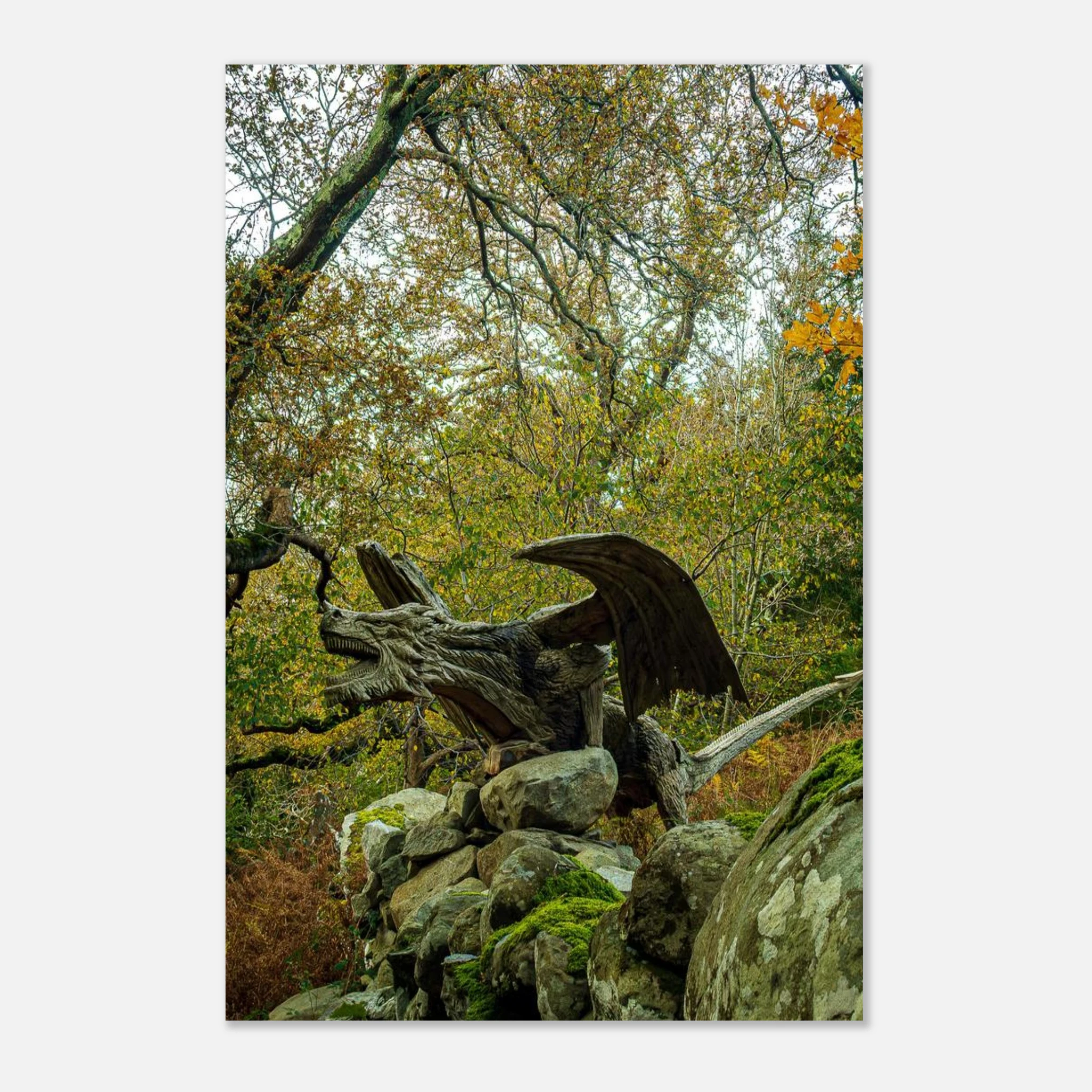 The Rise Of Dragon of Bethesda - Fine Art Poster