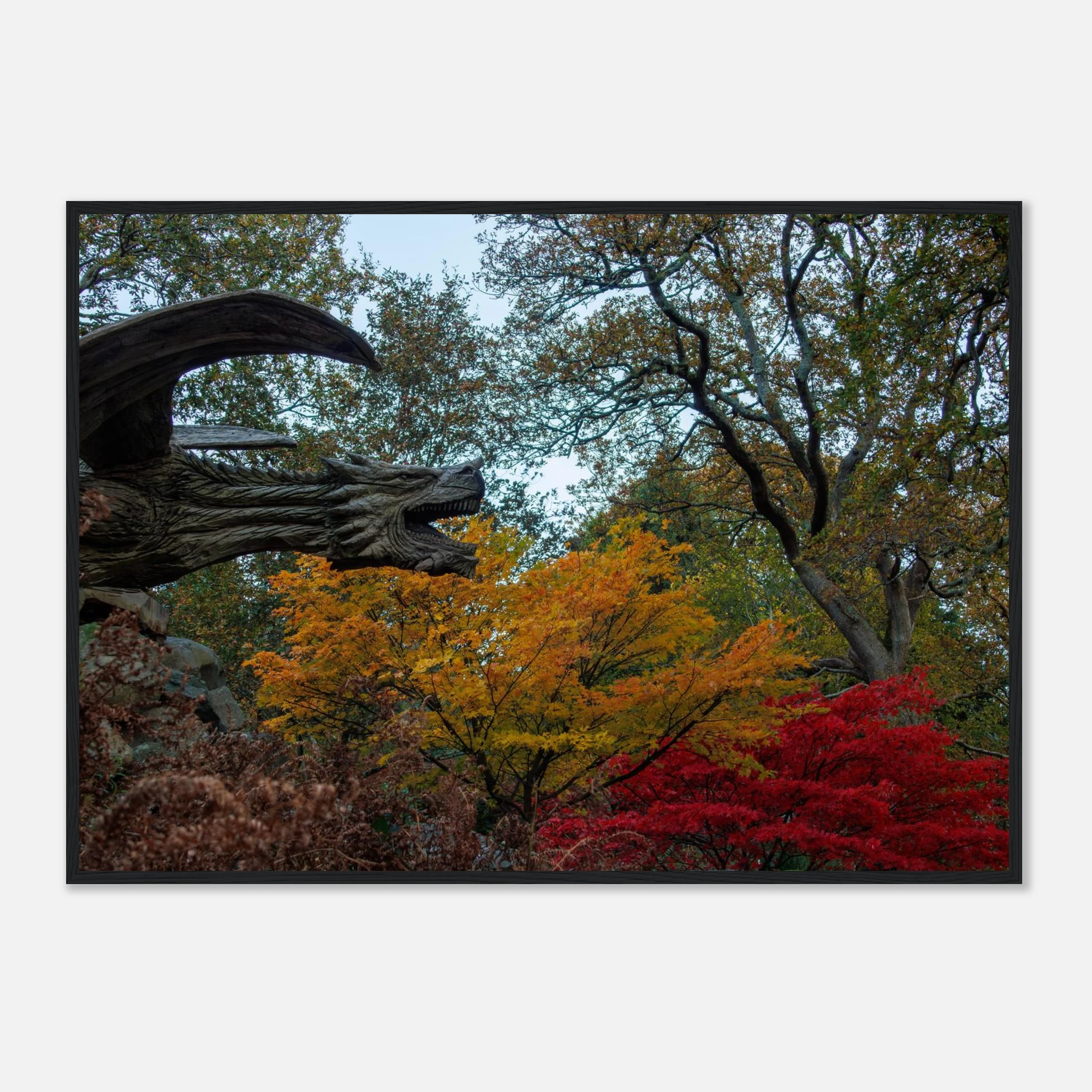 Dragon’s Breath - Black or White Framed Photograph