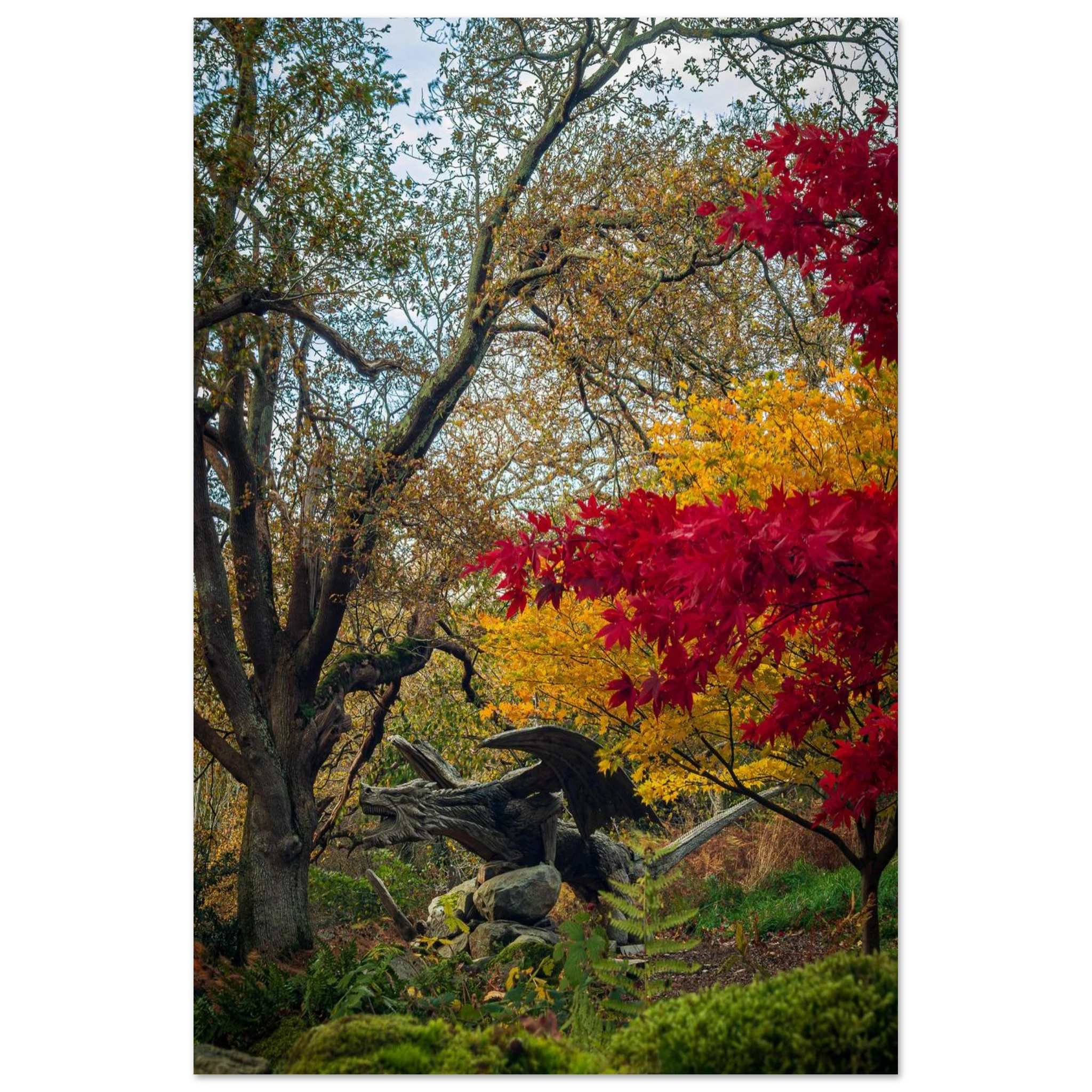 Autumnal Bethesda Dragon - Fine Art Poster