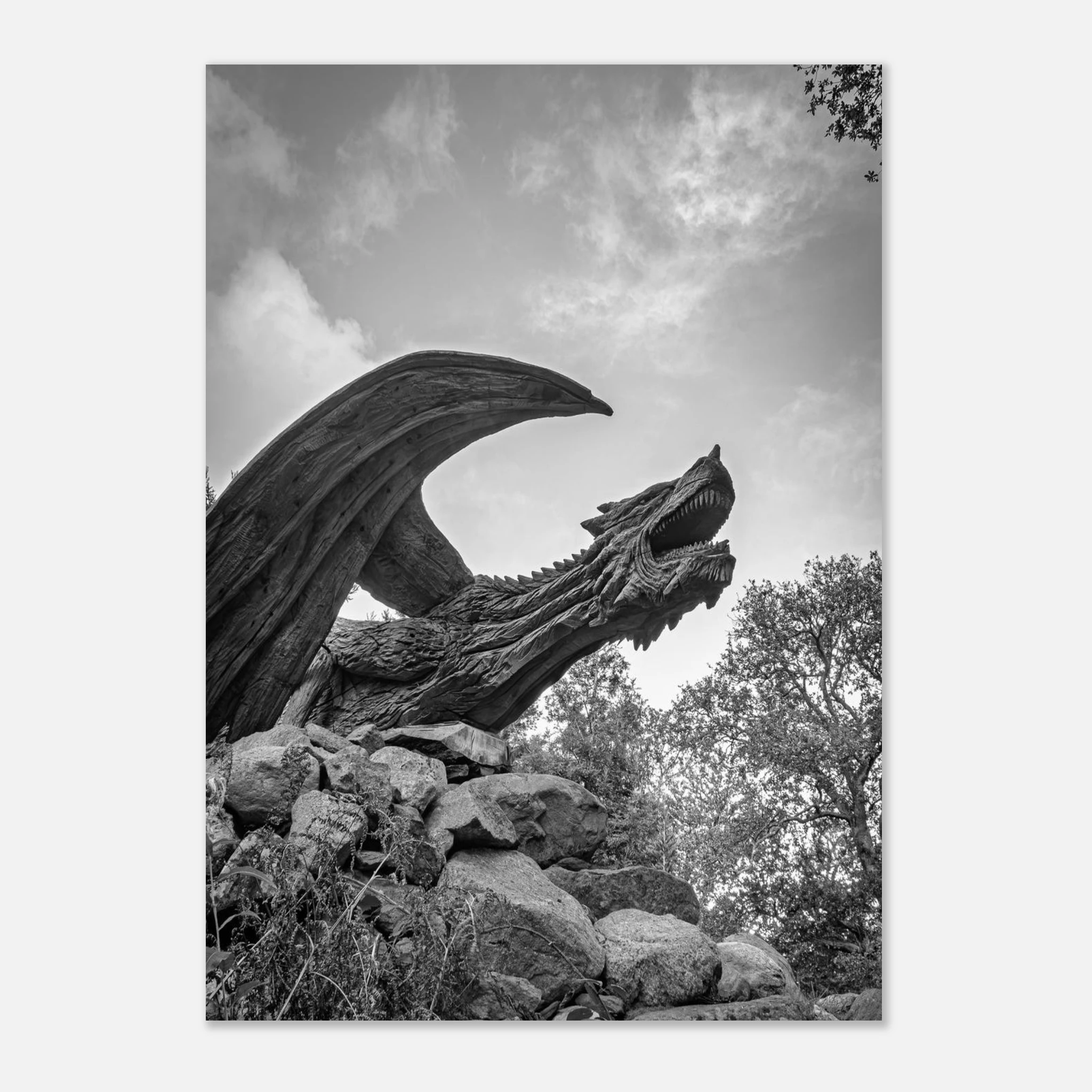 True Power Of The Dragon of Bethesda - Fine Art Poster