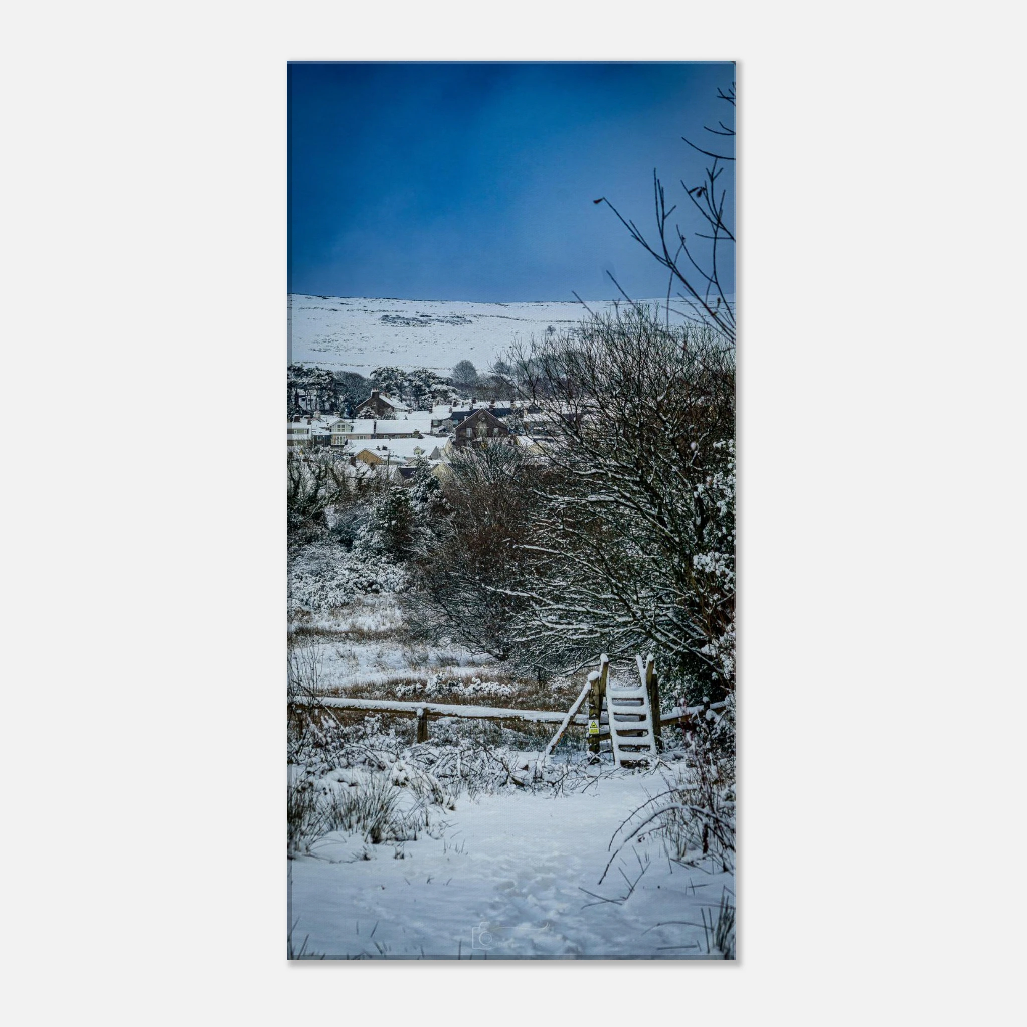 Path To Nowhere - Canvas Wall Art Print