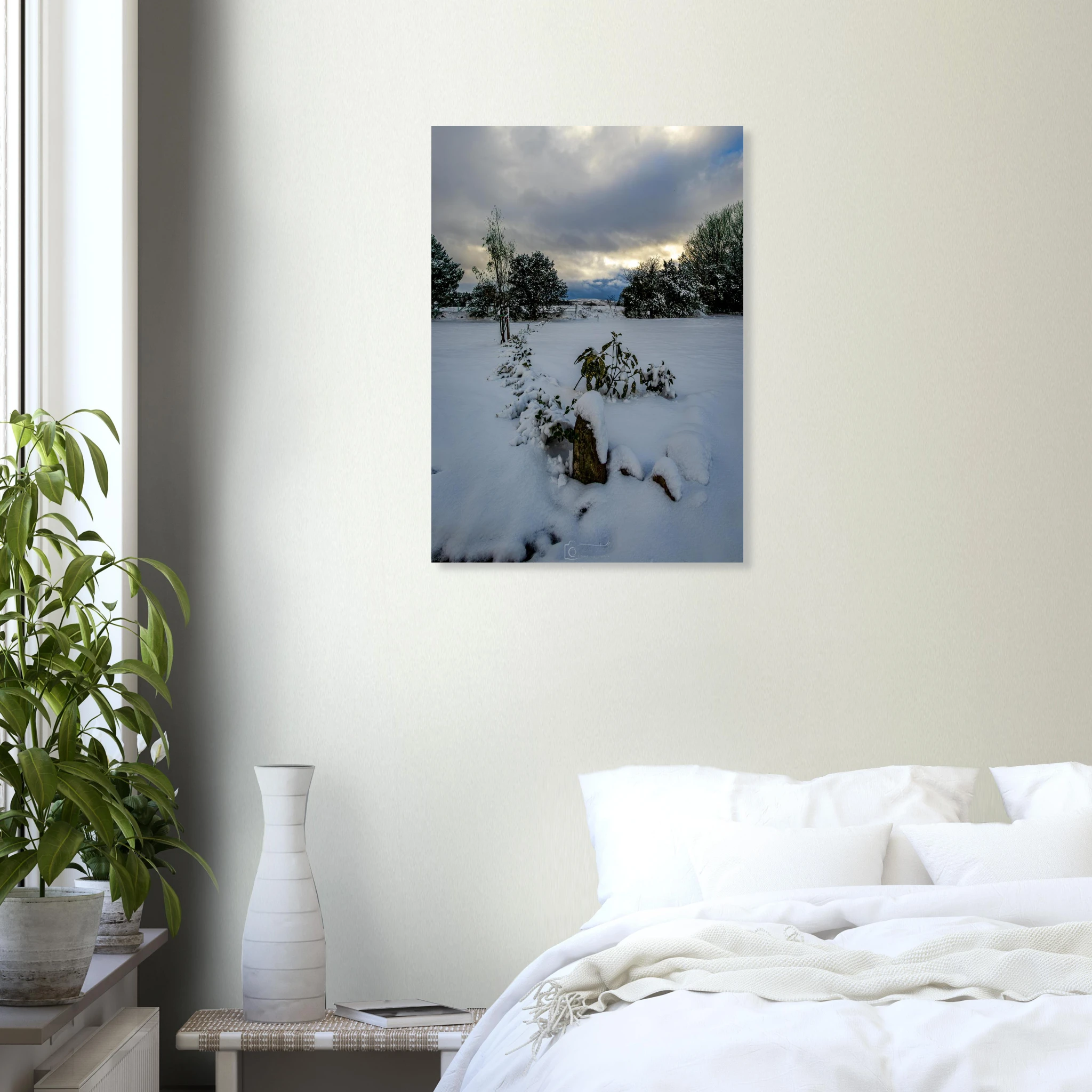 Hidden Roots - Fine Art Poster