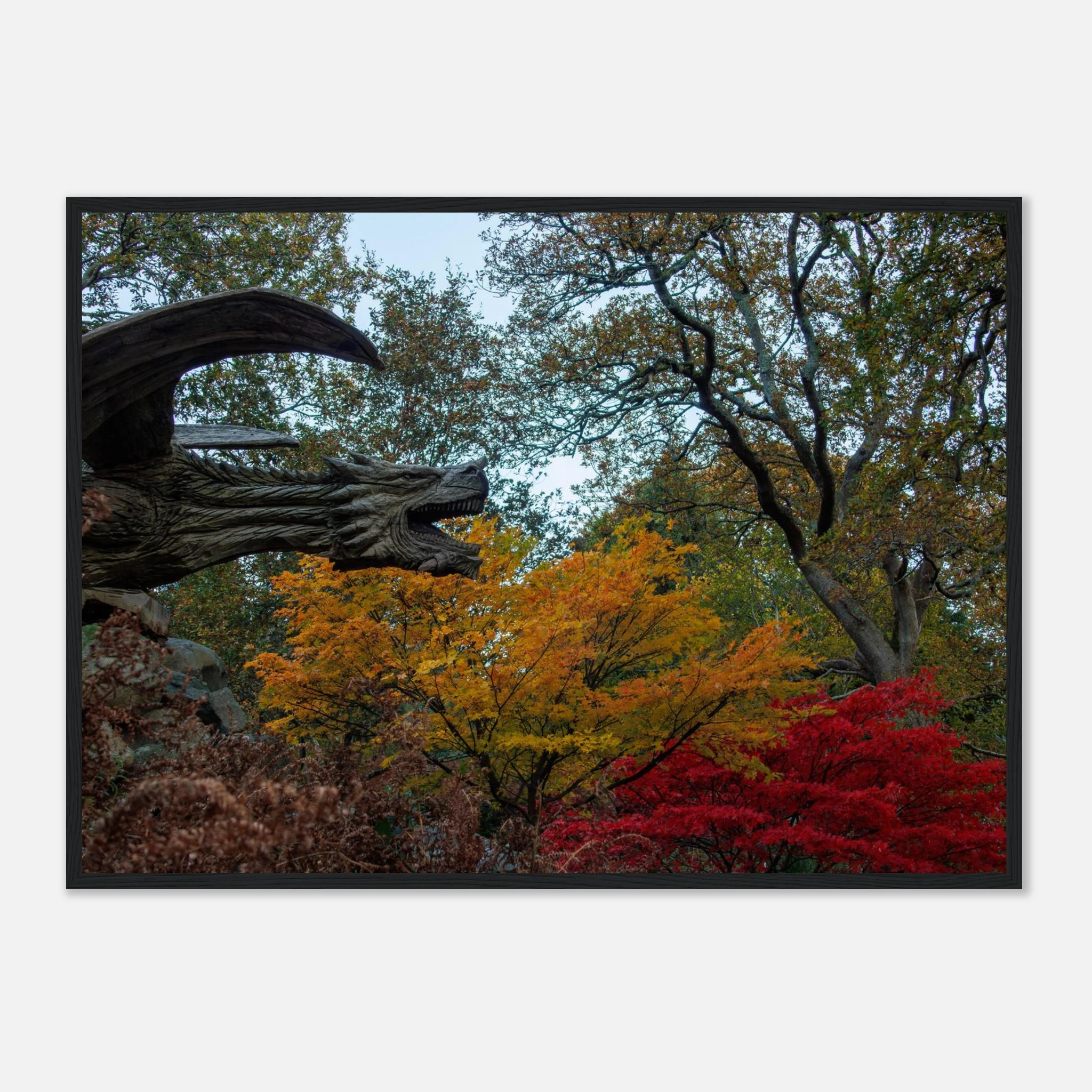 Dragon’s Breath - Black or White Framed Photograph