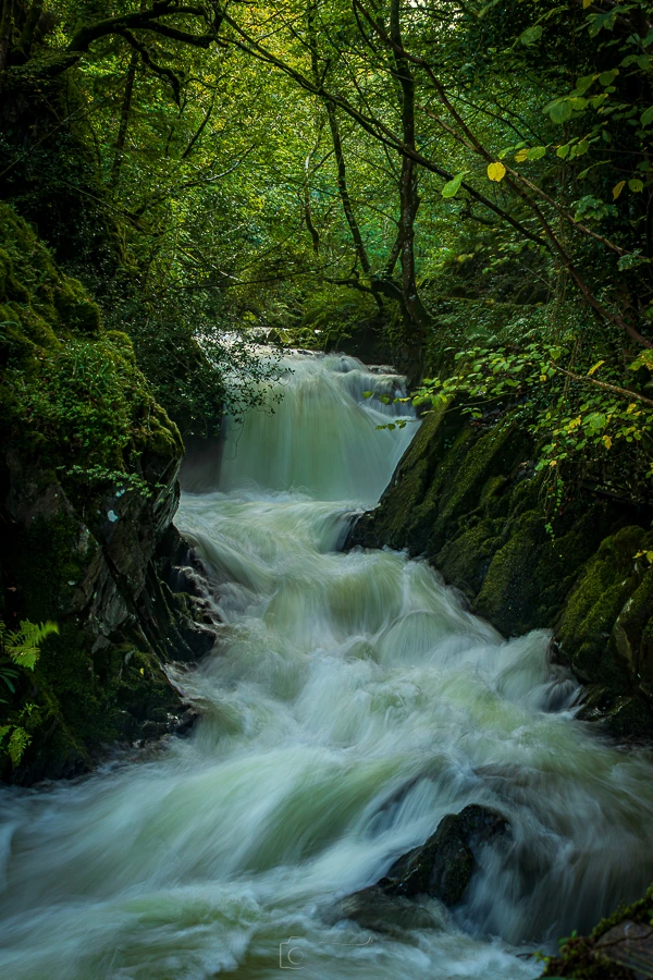 Ceunant Mawr Flows Free