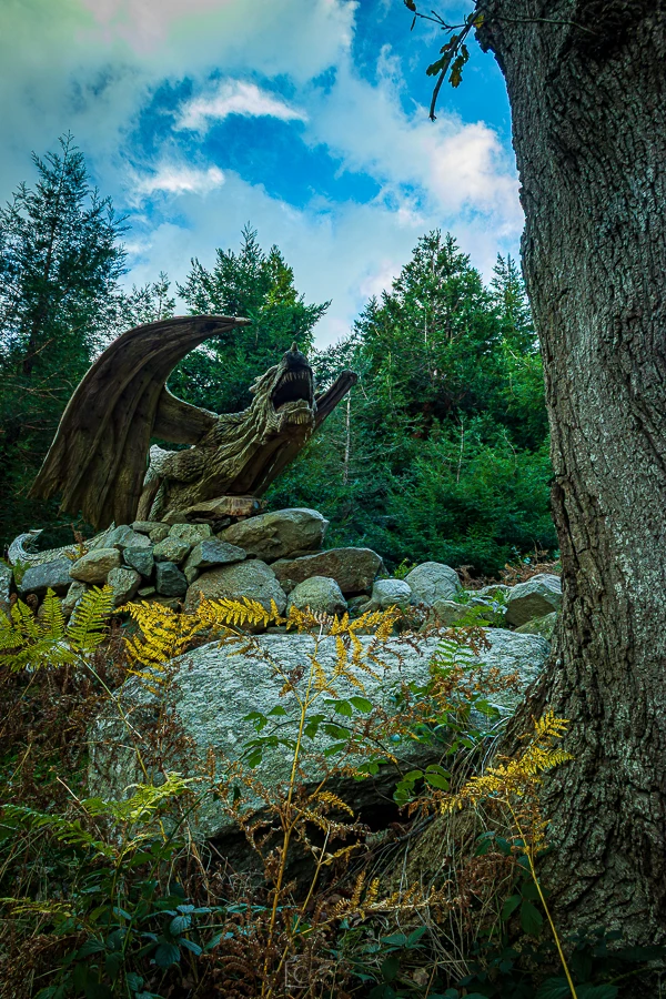 Roar Of The Dragon of Bethesda