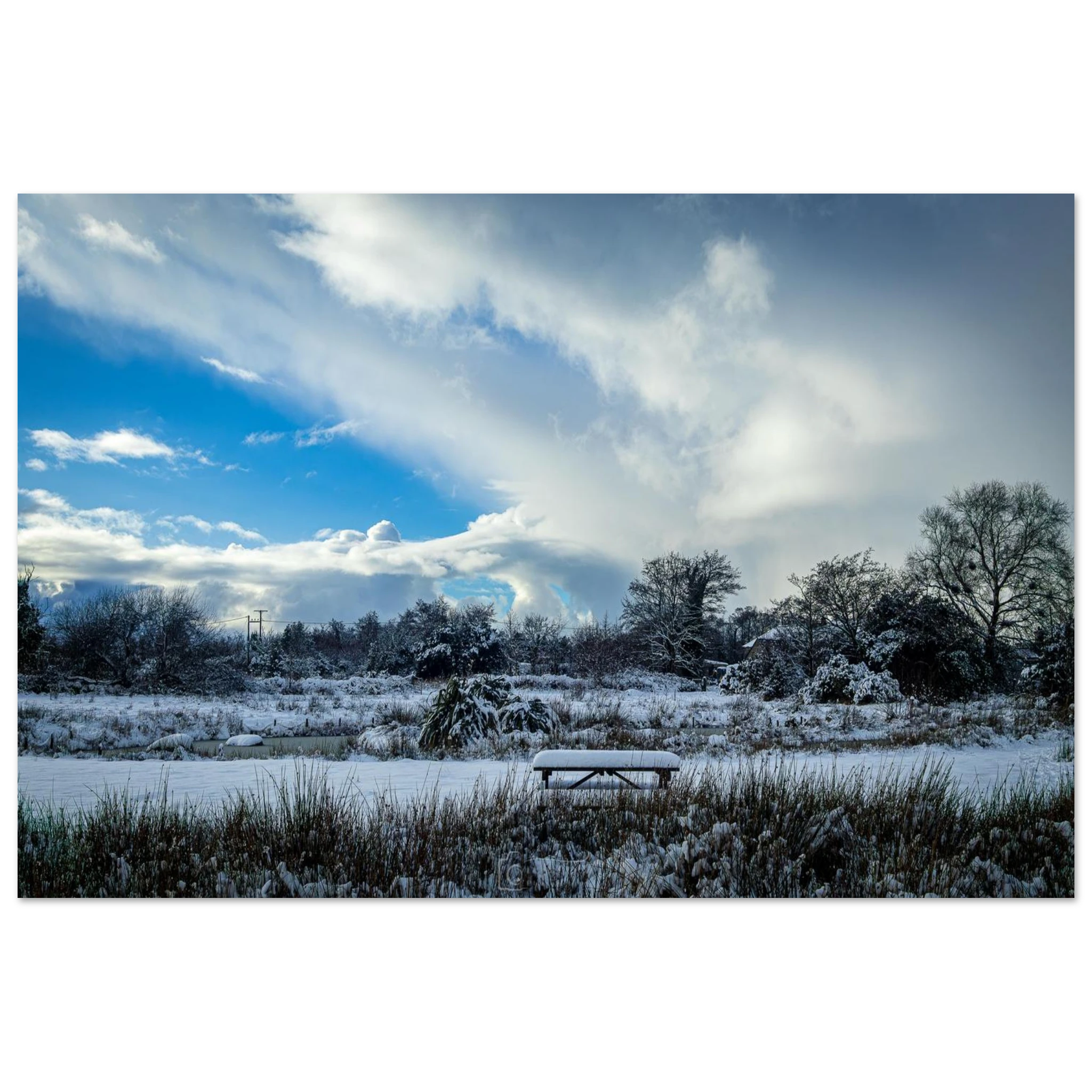 Lakeside Views - Fine Art Poster