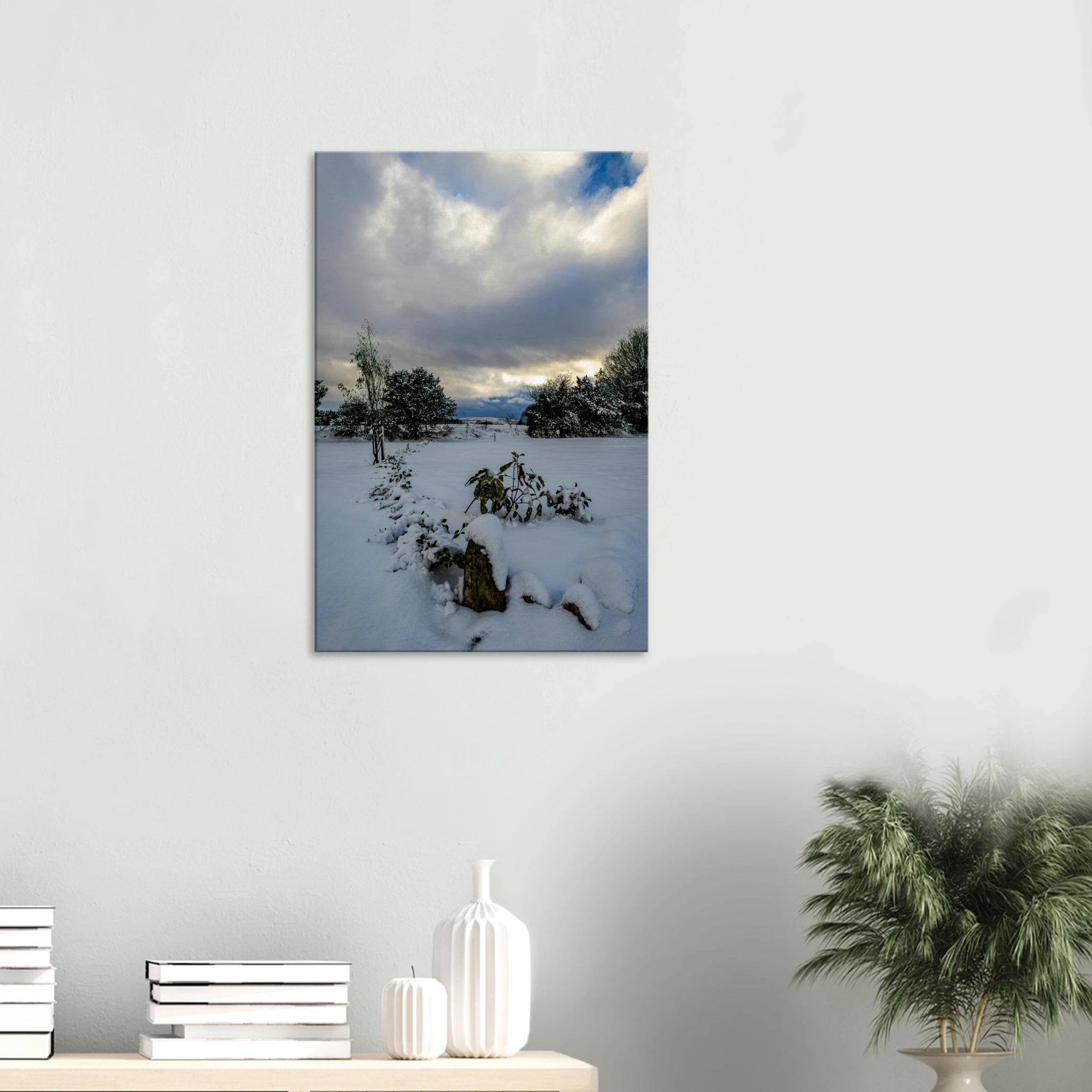 Hidden Roots - Canvas Wall Art Print