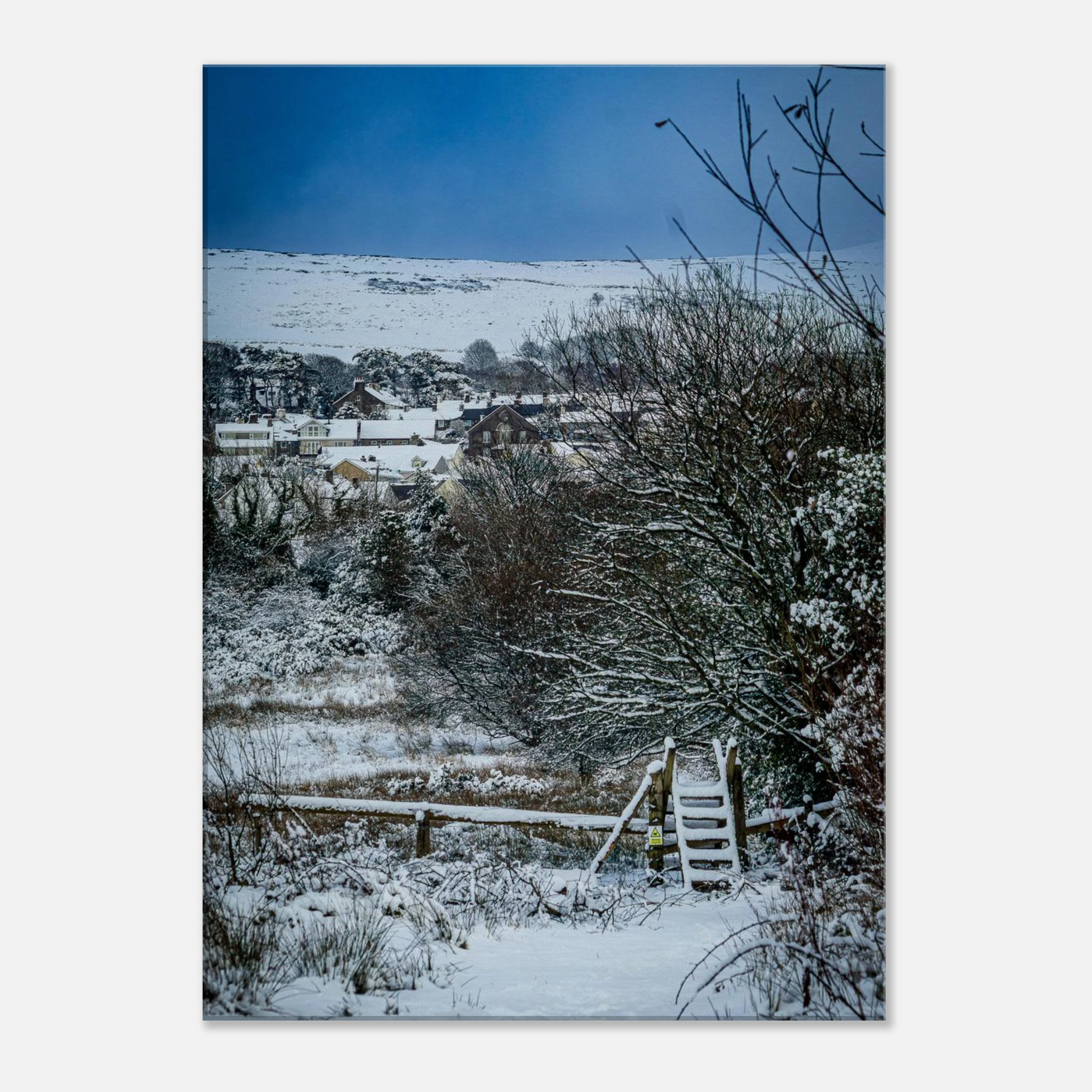 Path To Nowhere - Canvas Wall Art Print
