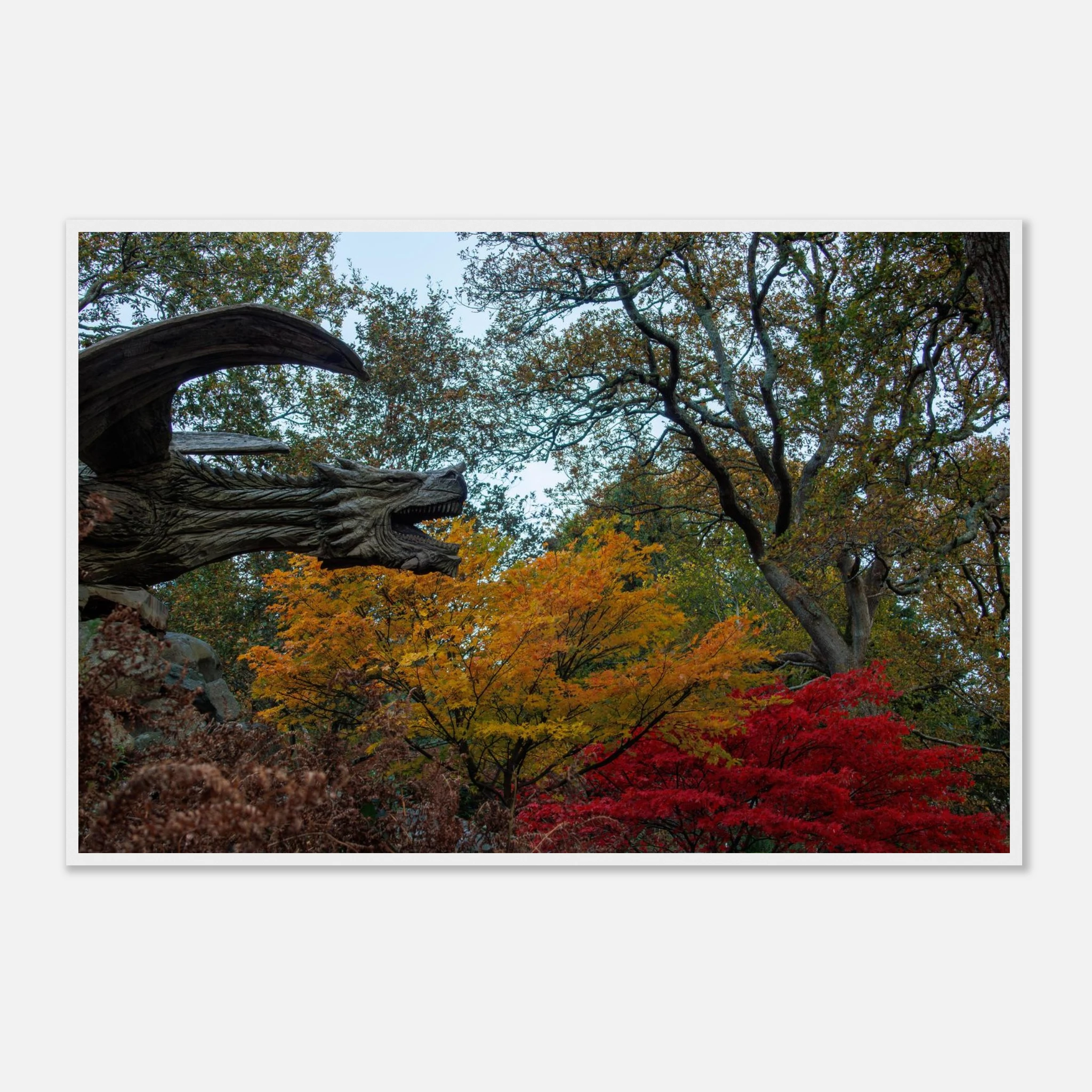 Dragon’s Breath - Black or White Framed Photograph