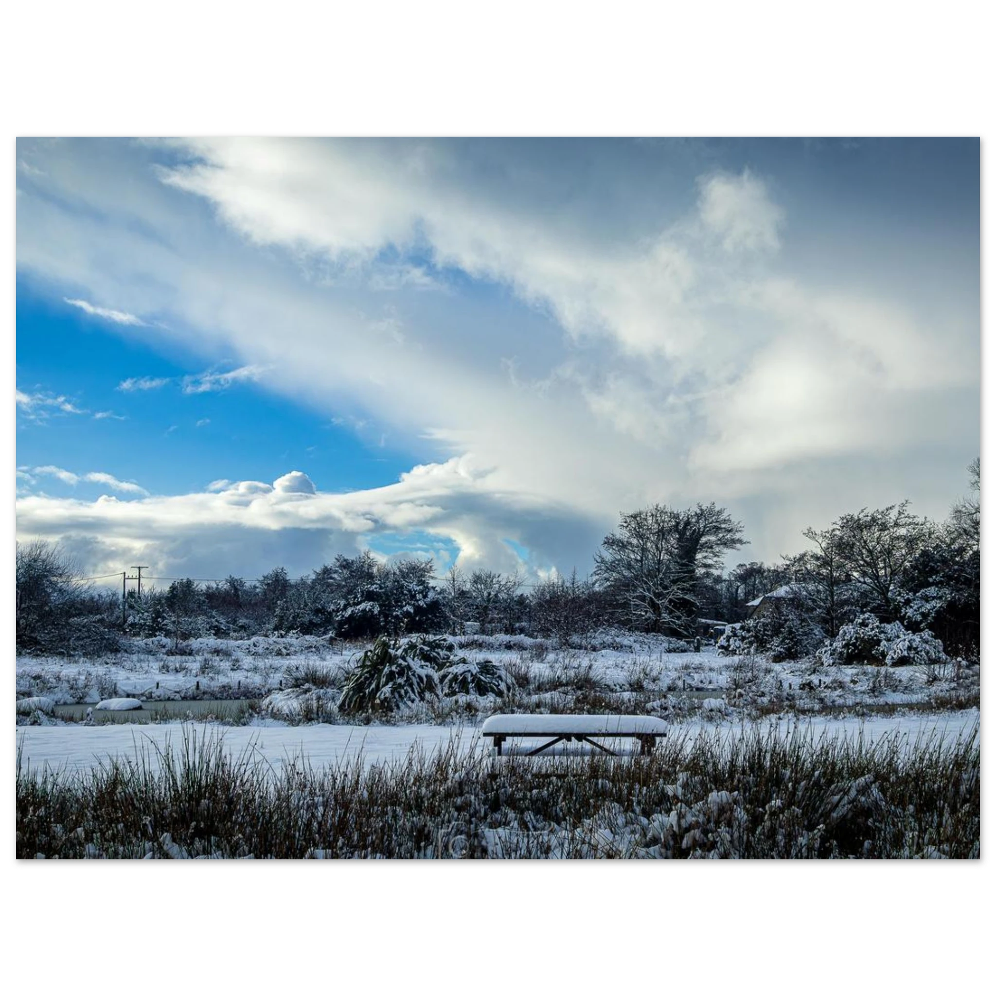 Lakeside Views - Fine Art Poster