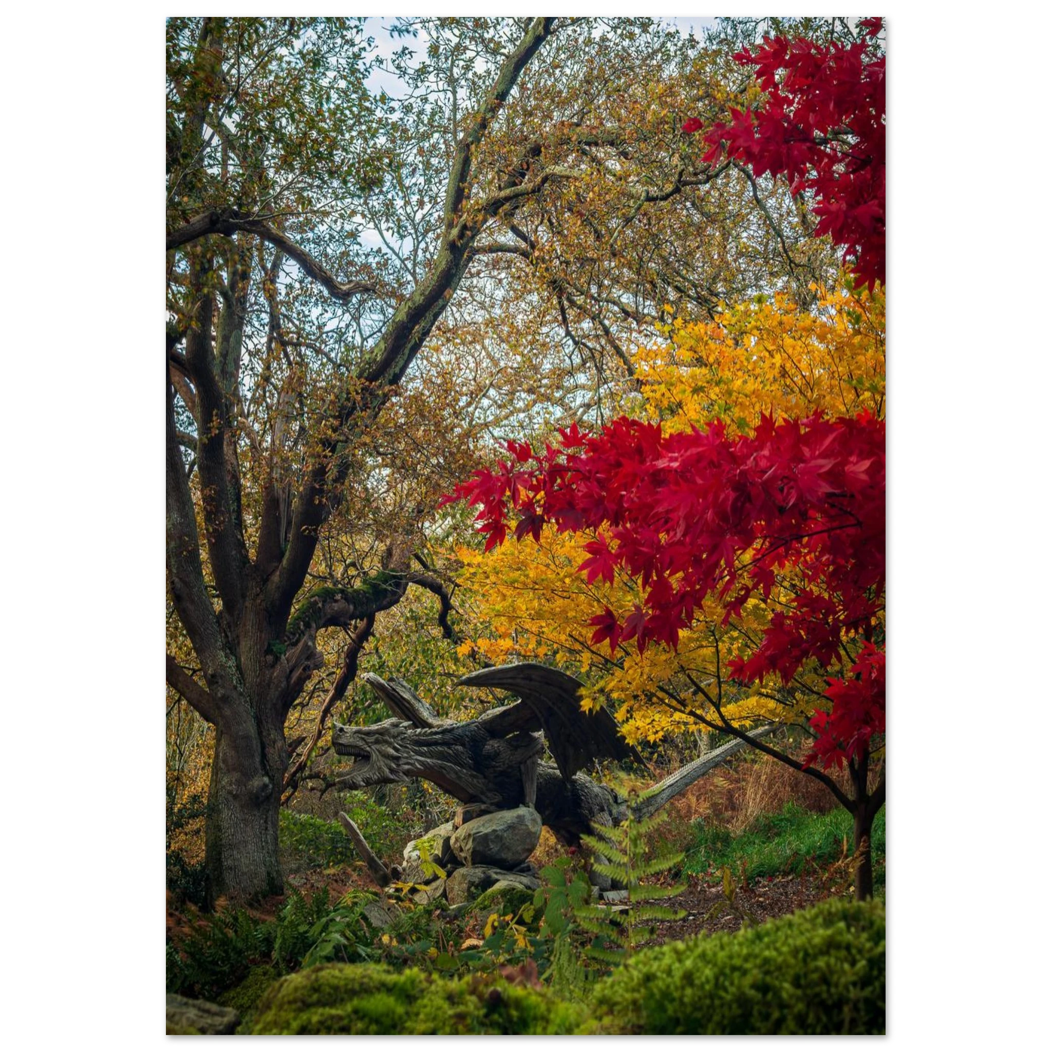 Autumnal Bethesda Dragon - Fine Art Poster