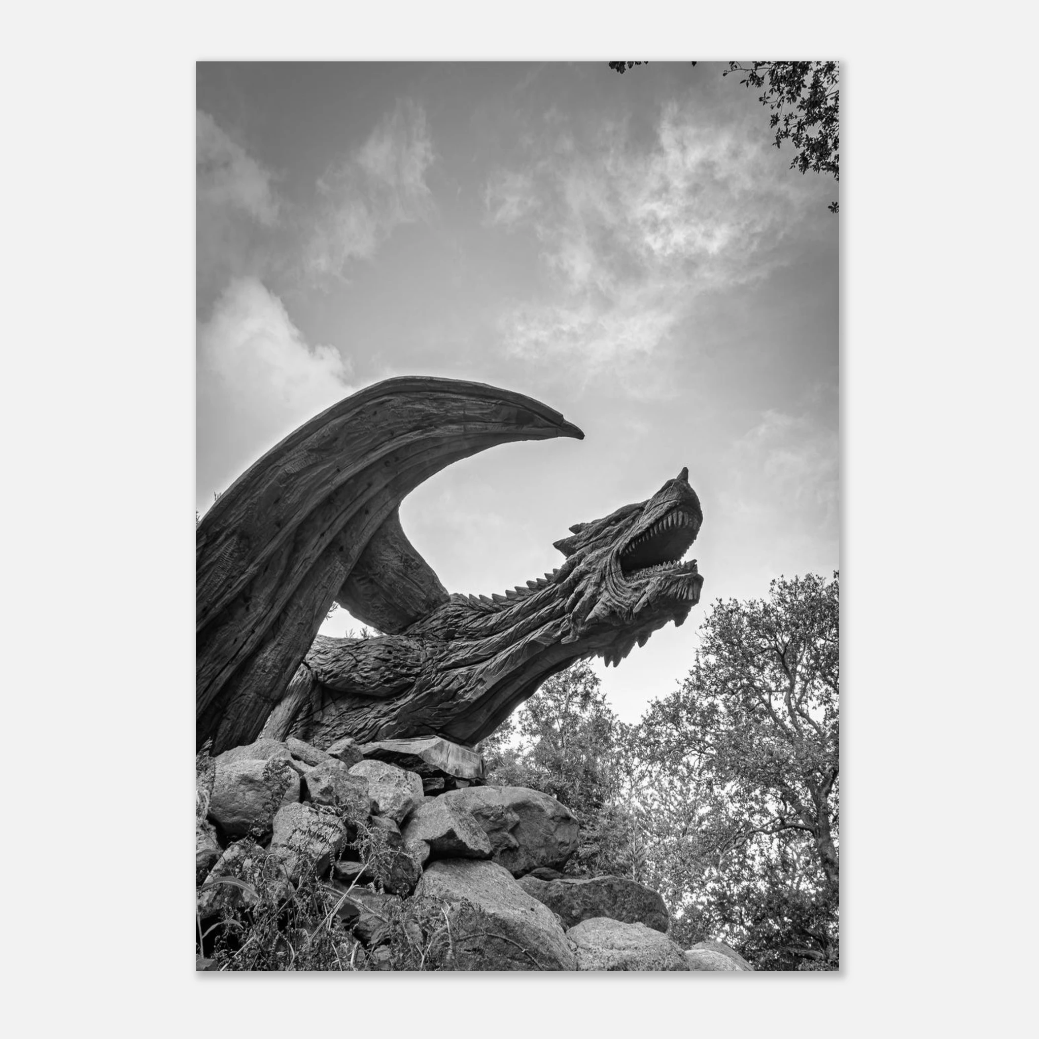 True Power Of The Dragon of Bethesda - Fine Art Poster