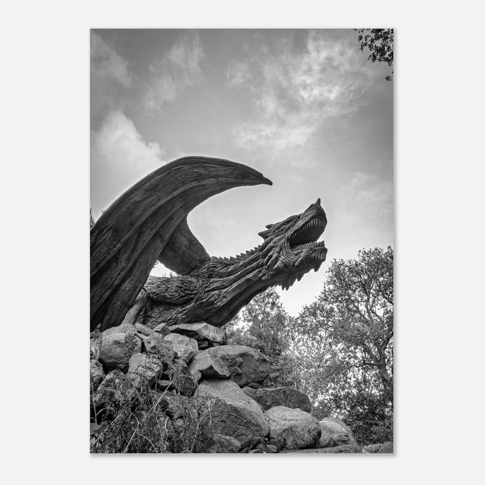 True Power Of The Dragon of Bethesda - Fine Art Poster