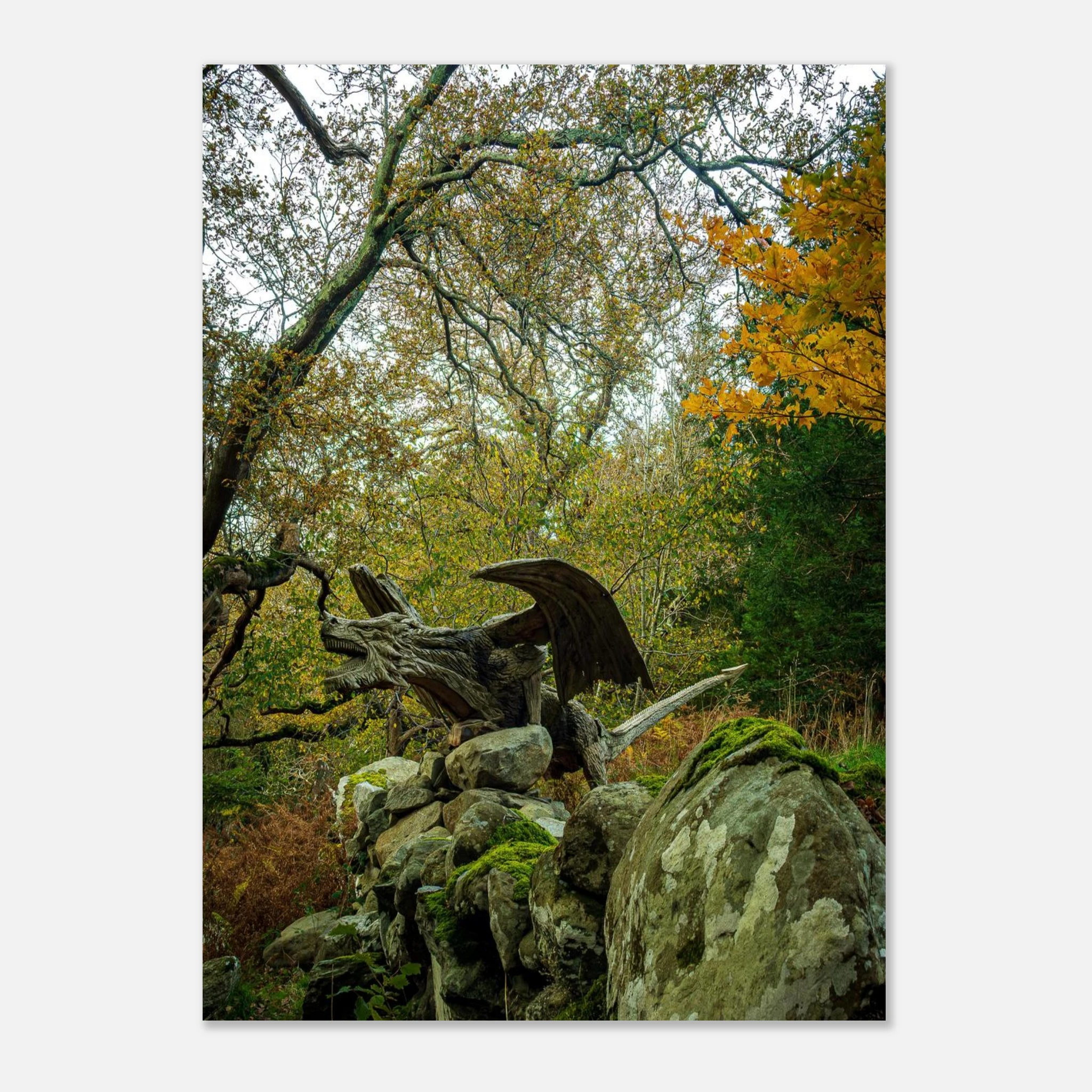 The Rise Of Dragon of Bethesda - Fine Art Poster