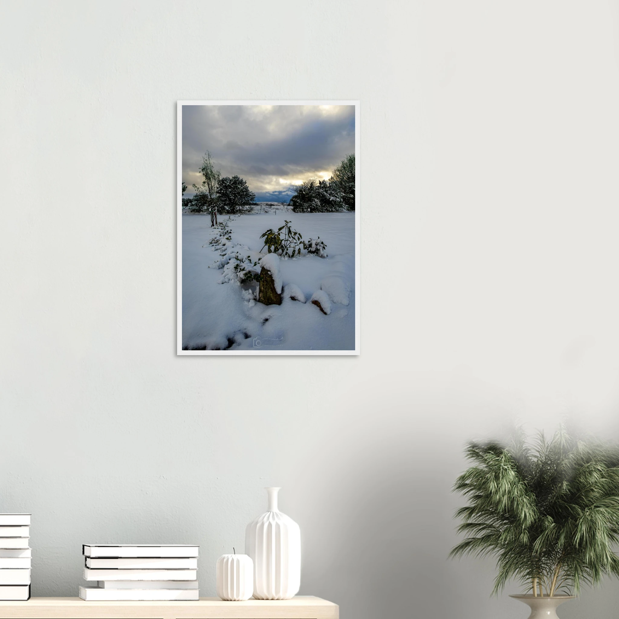 Hidden Roots - Black or White Framed Photograph