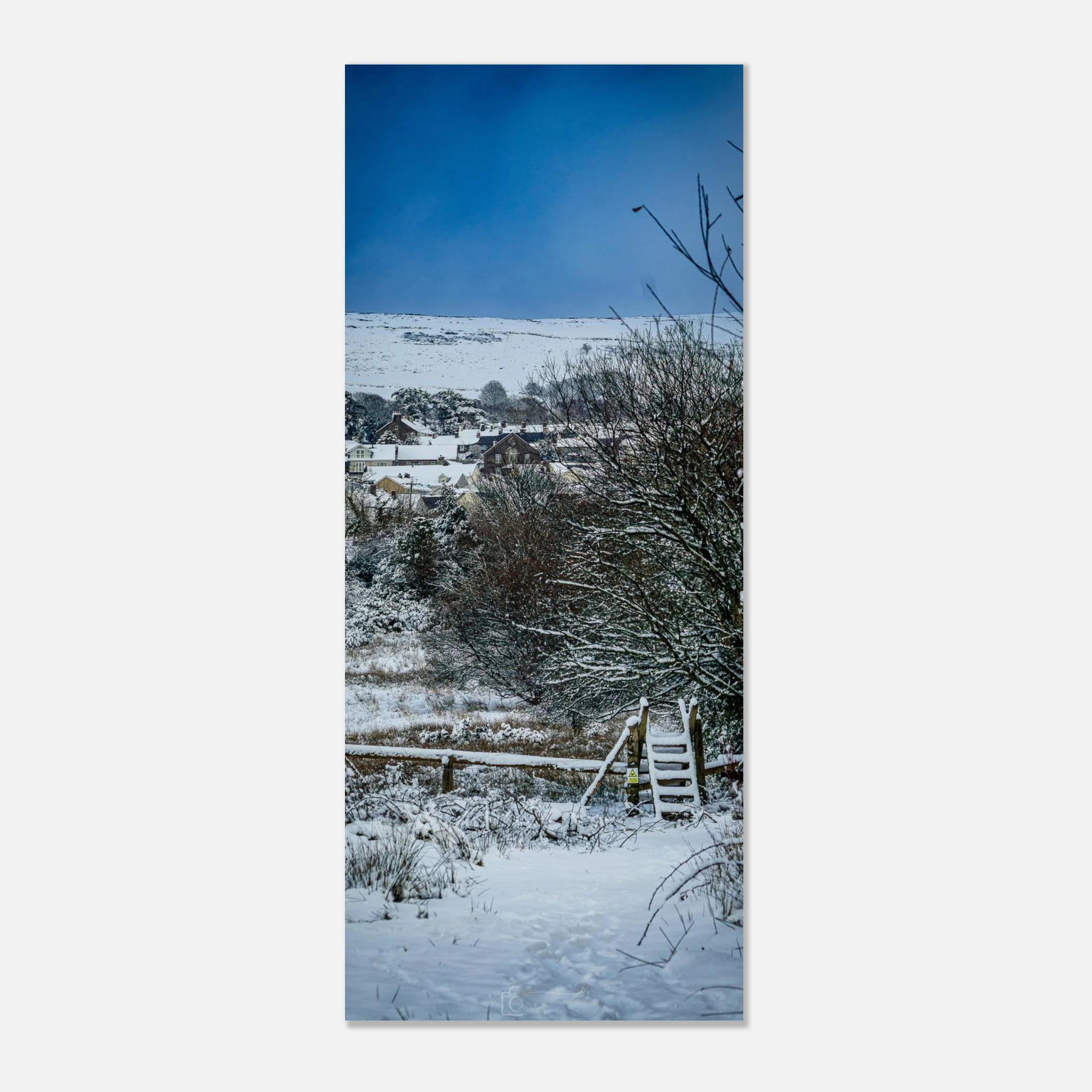 Path To Nowhere - Fine Art Poster