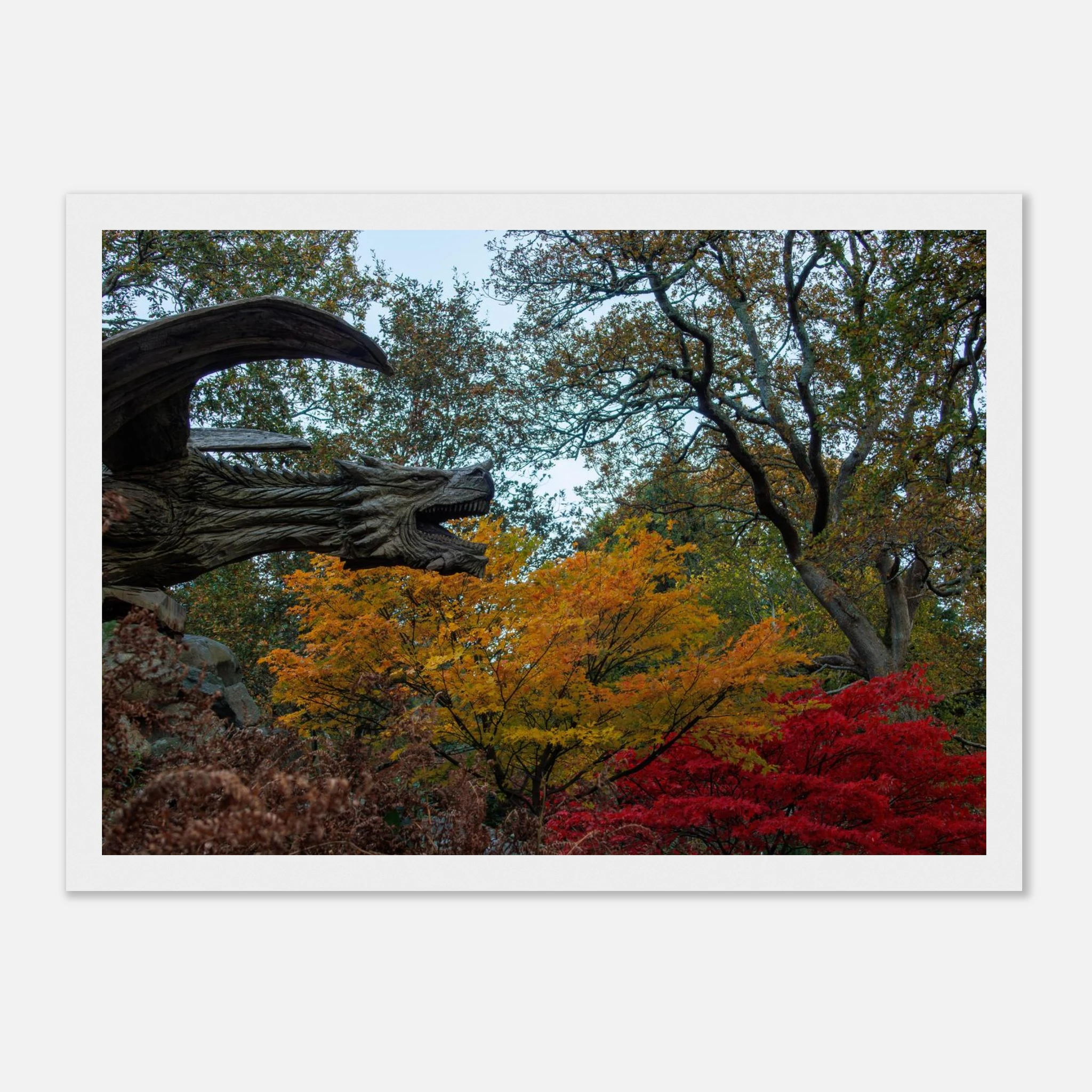 Dragon’s Breath - Black or White Framed Photograph