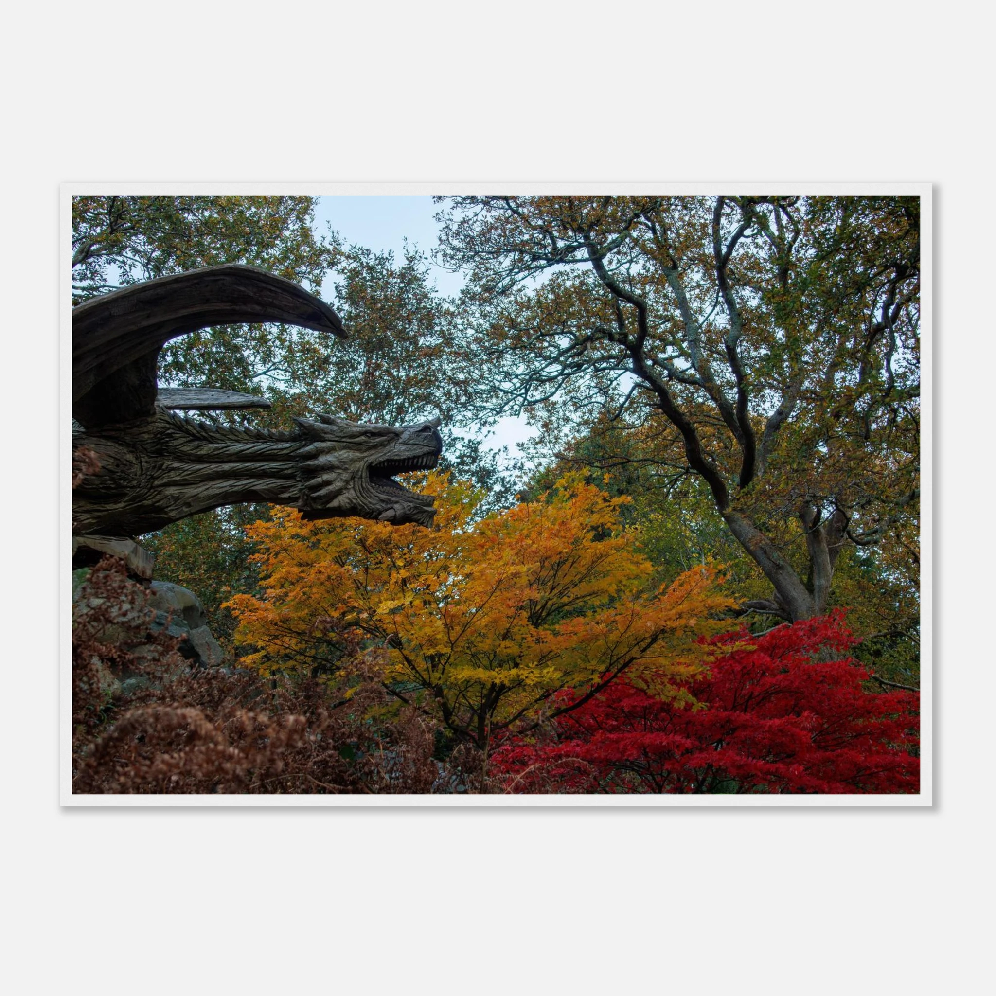 Dragon’s Breath - Black or White Framed Photograph