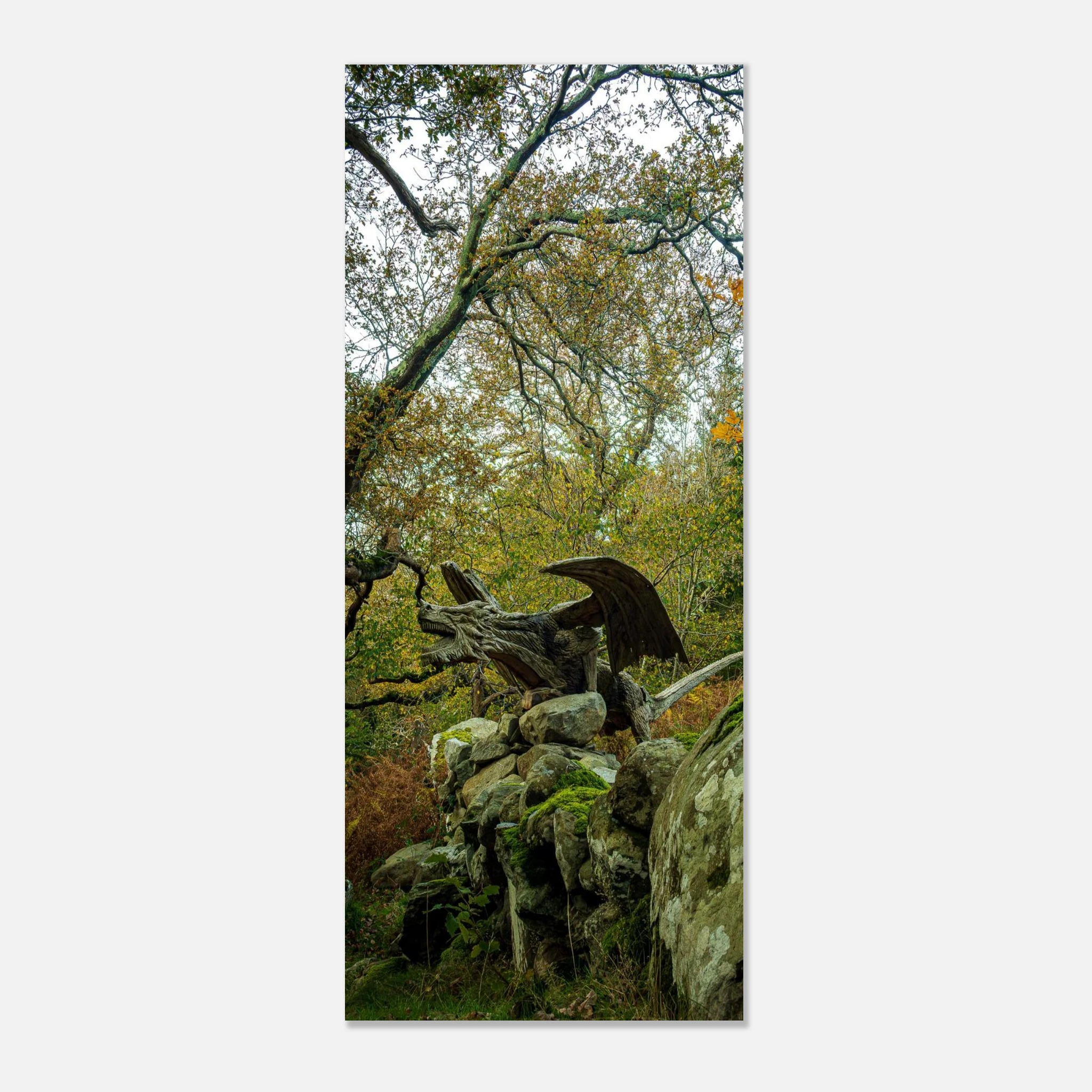 The Rise Of Dragon of Bethesda - Fine Art Poster