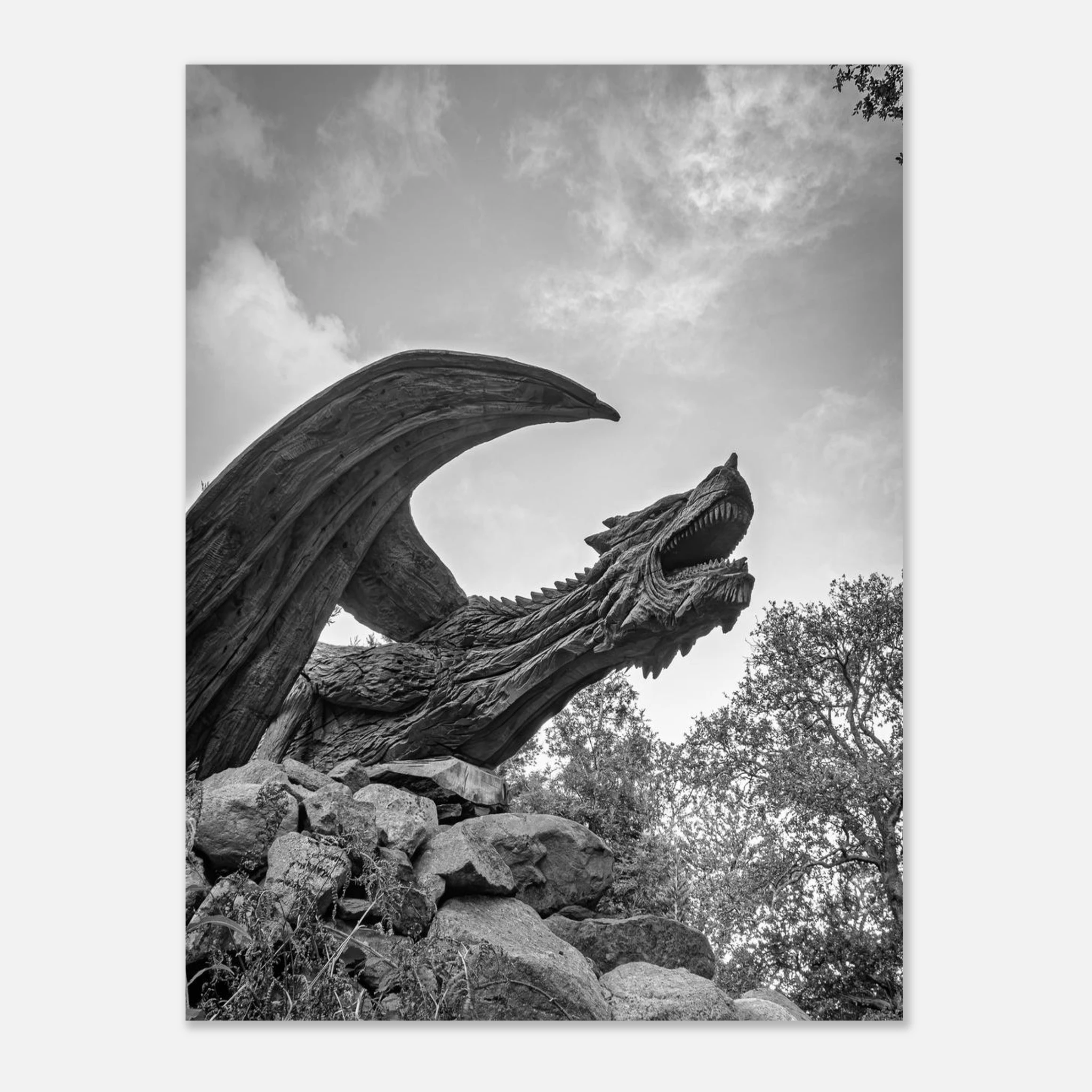 True Power Of The Dragon of Bethesda - Fine Art Poster