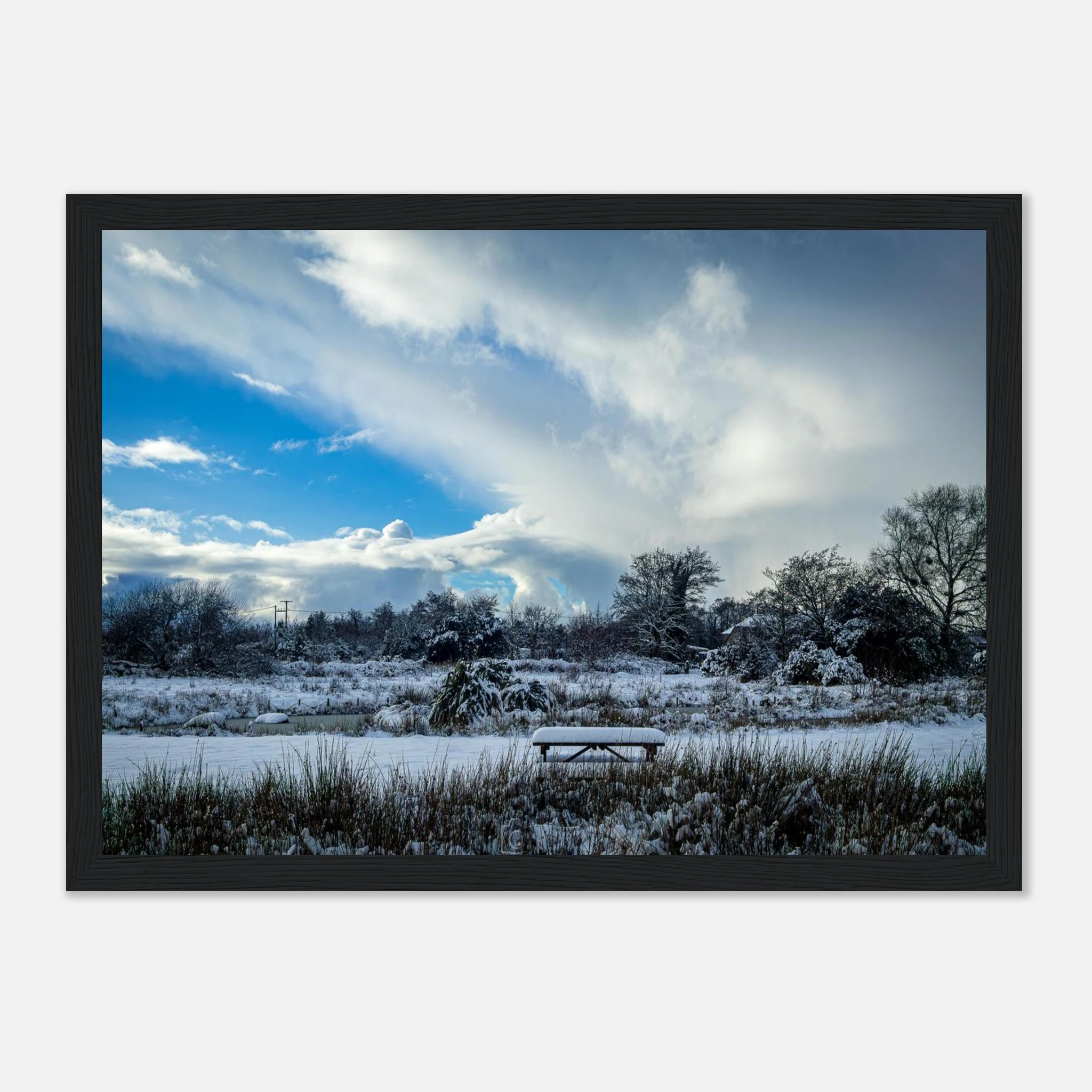 Lakeside View - Black or White Framed Photoograph