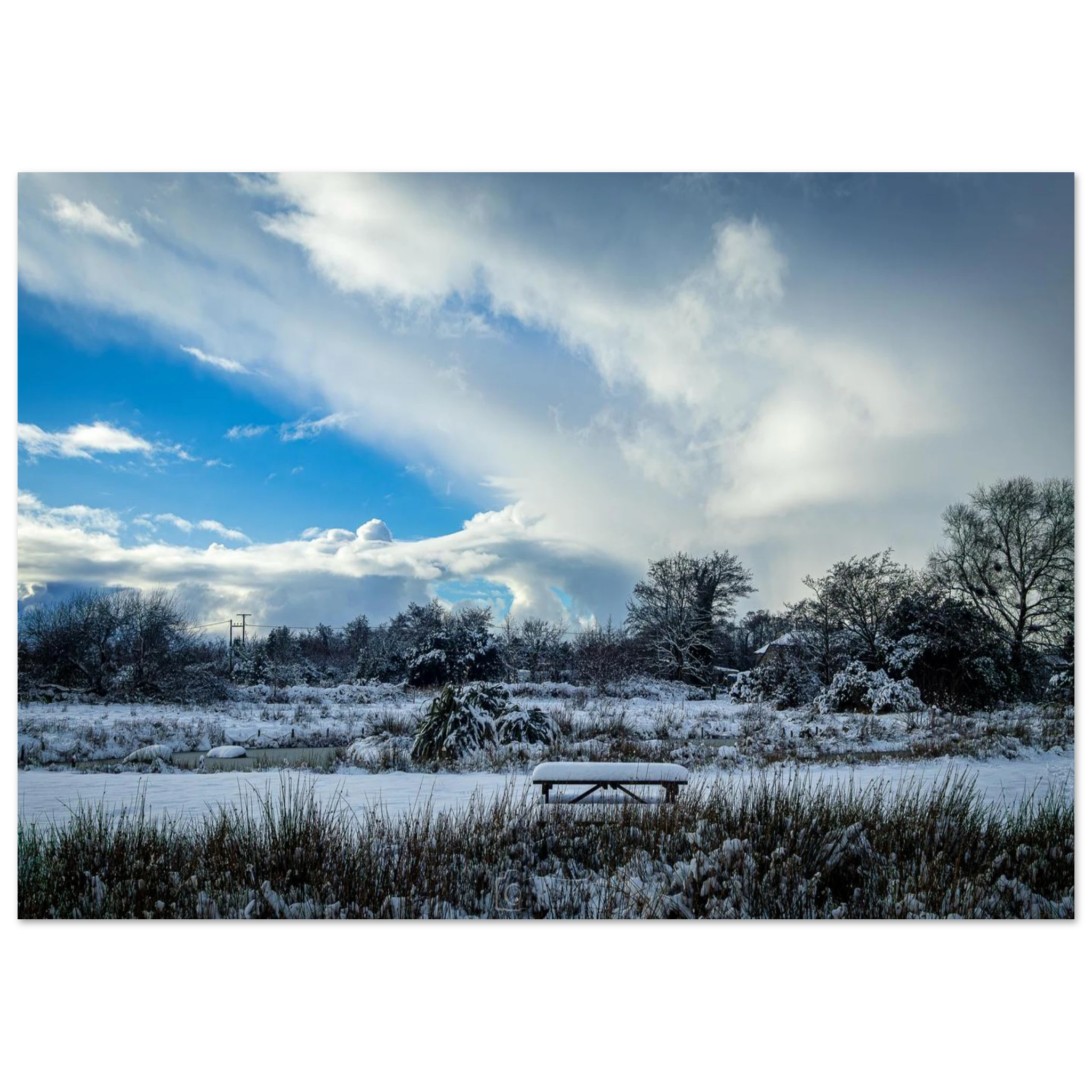 Lakeside Views - Fine Art Poster