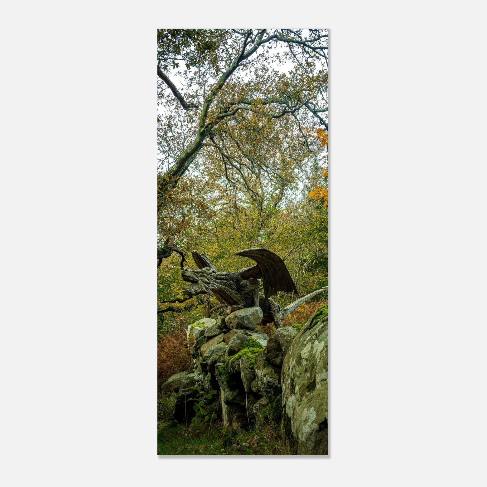 The Rise Of Dragon of Bethesda - Fine Art Poster