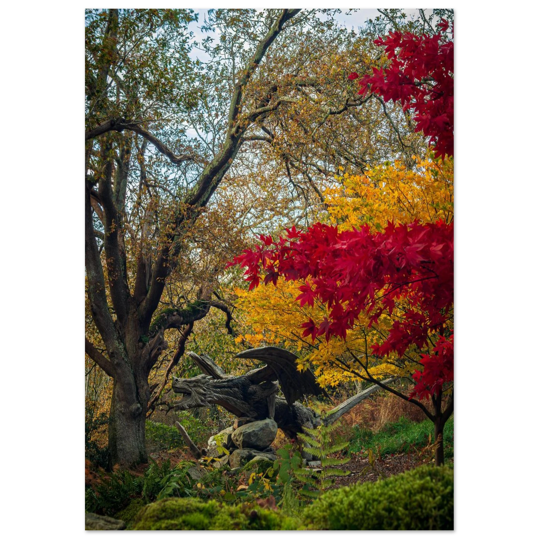 Autumnal Bethesda Dragon - Fine Art Poster