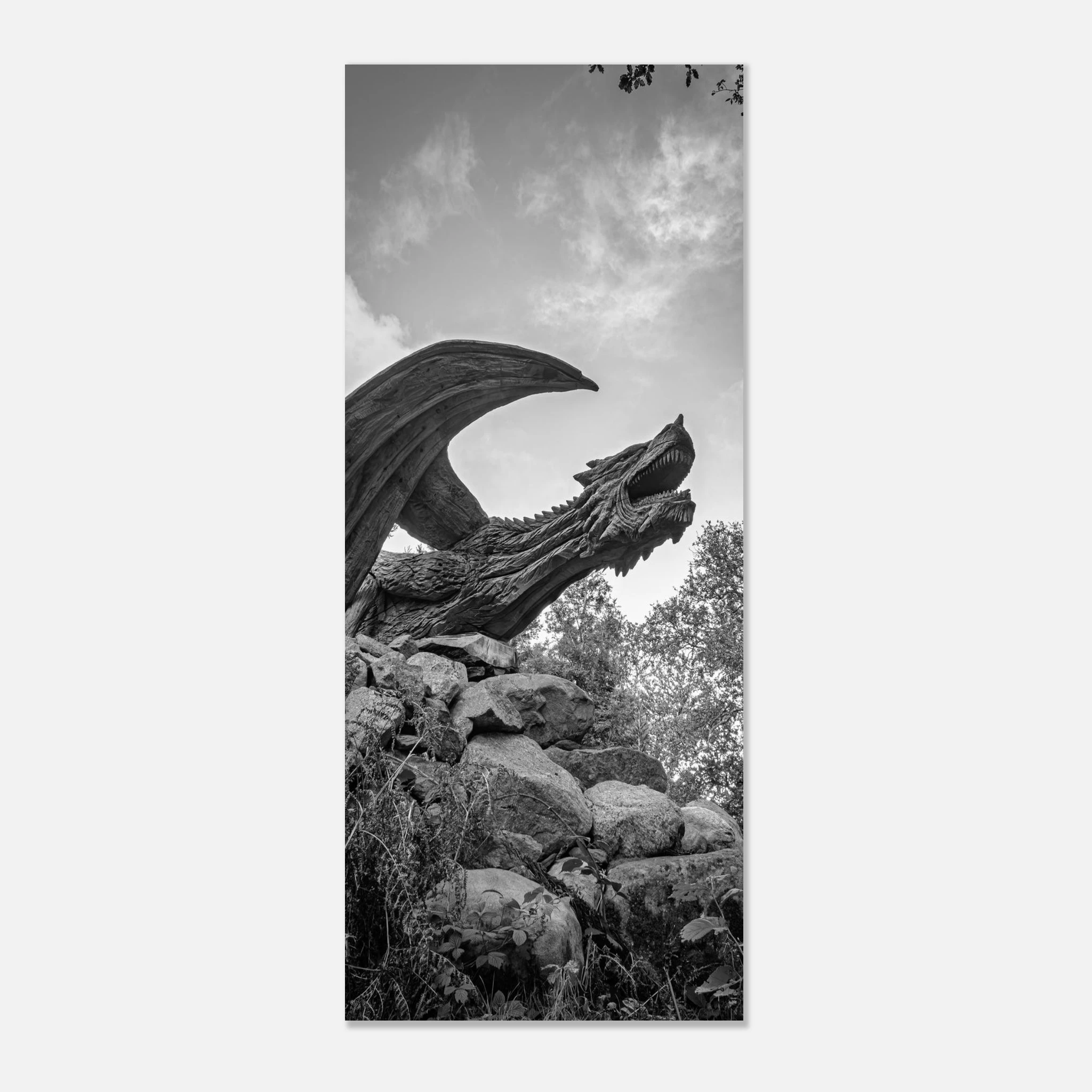 True Power Of The Dragon of Bethesda - Fine Art Poster