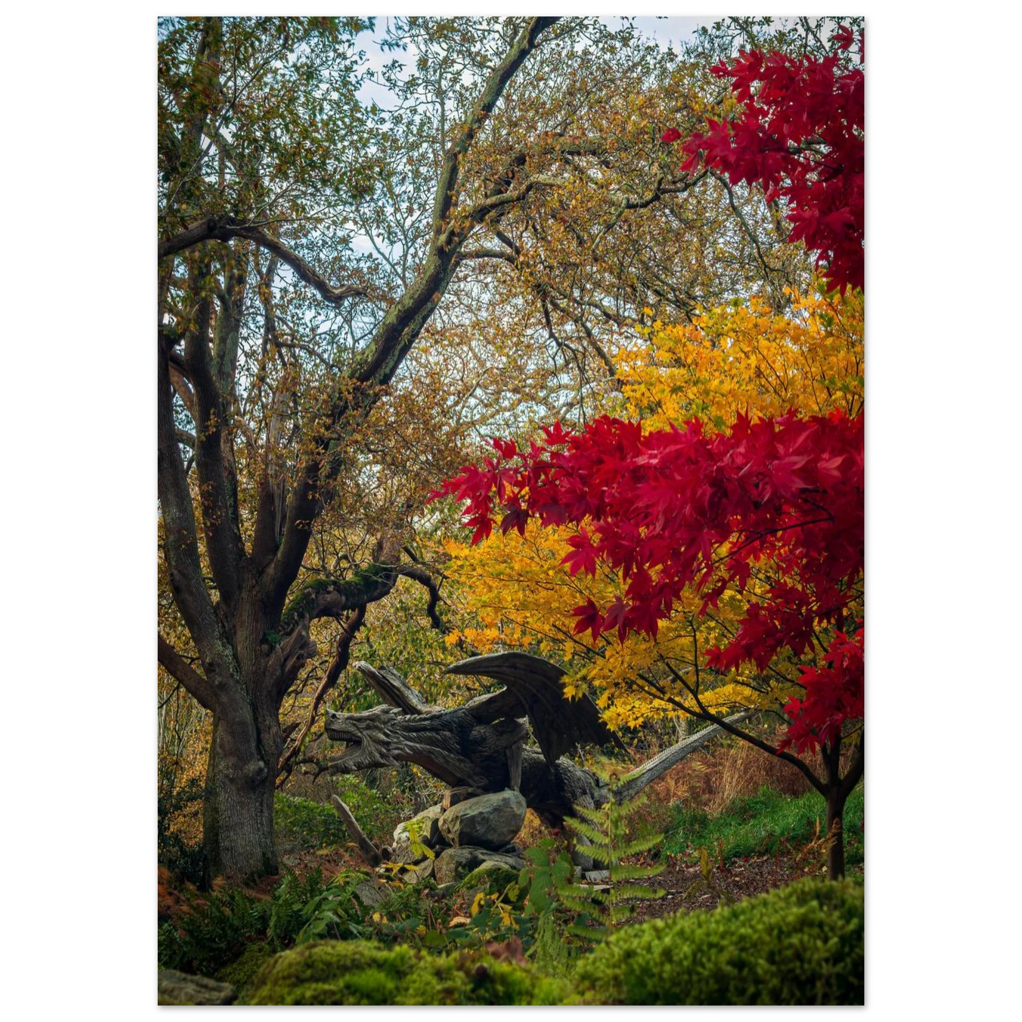 Autumnal Bethesda Dragon - Fine Art Poster