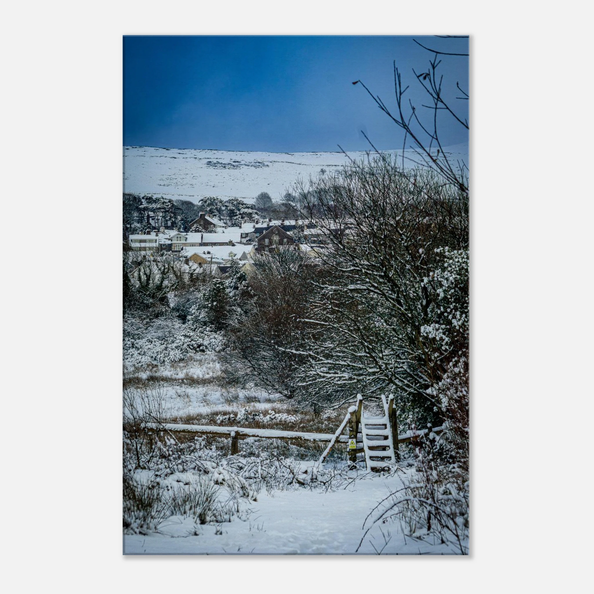 Path To Nowhere - Canvas Wall Art Print
